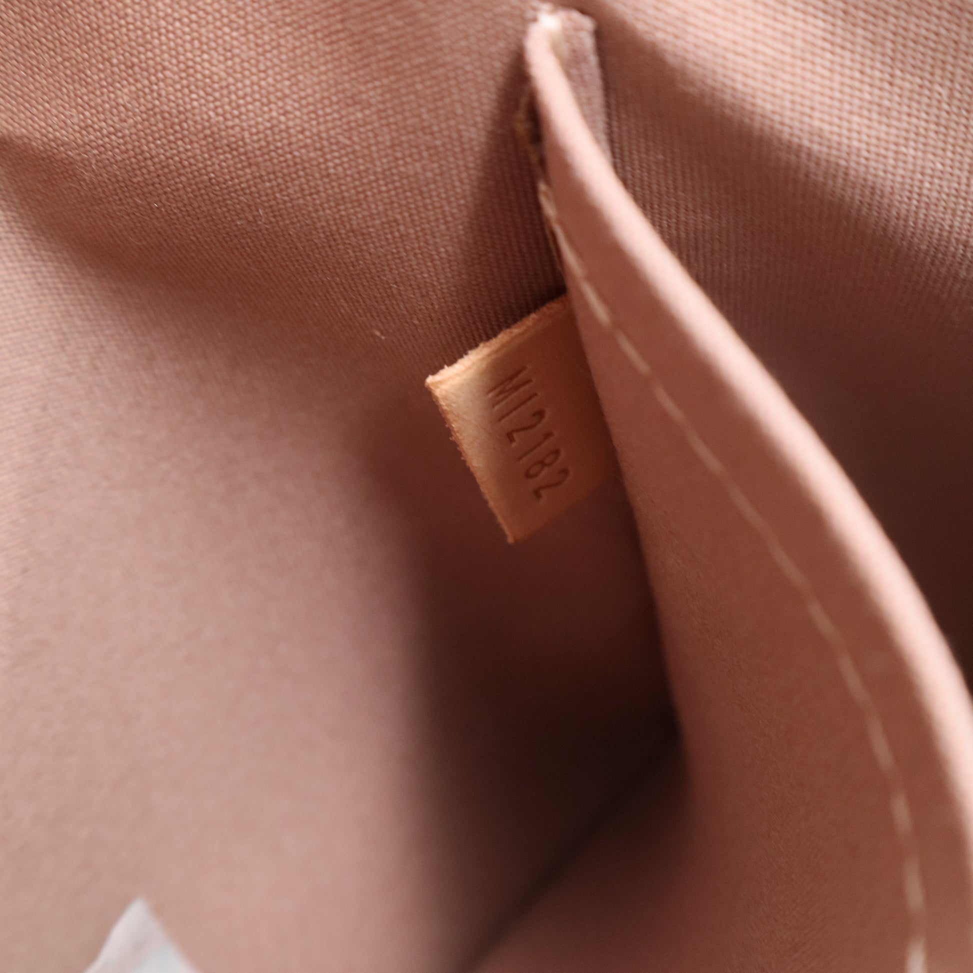 Monogram Vernis Alma GM twins