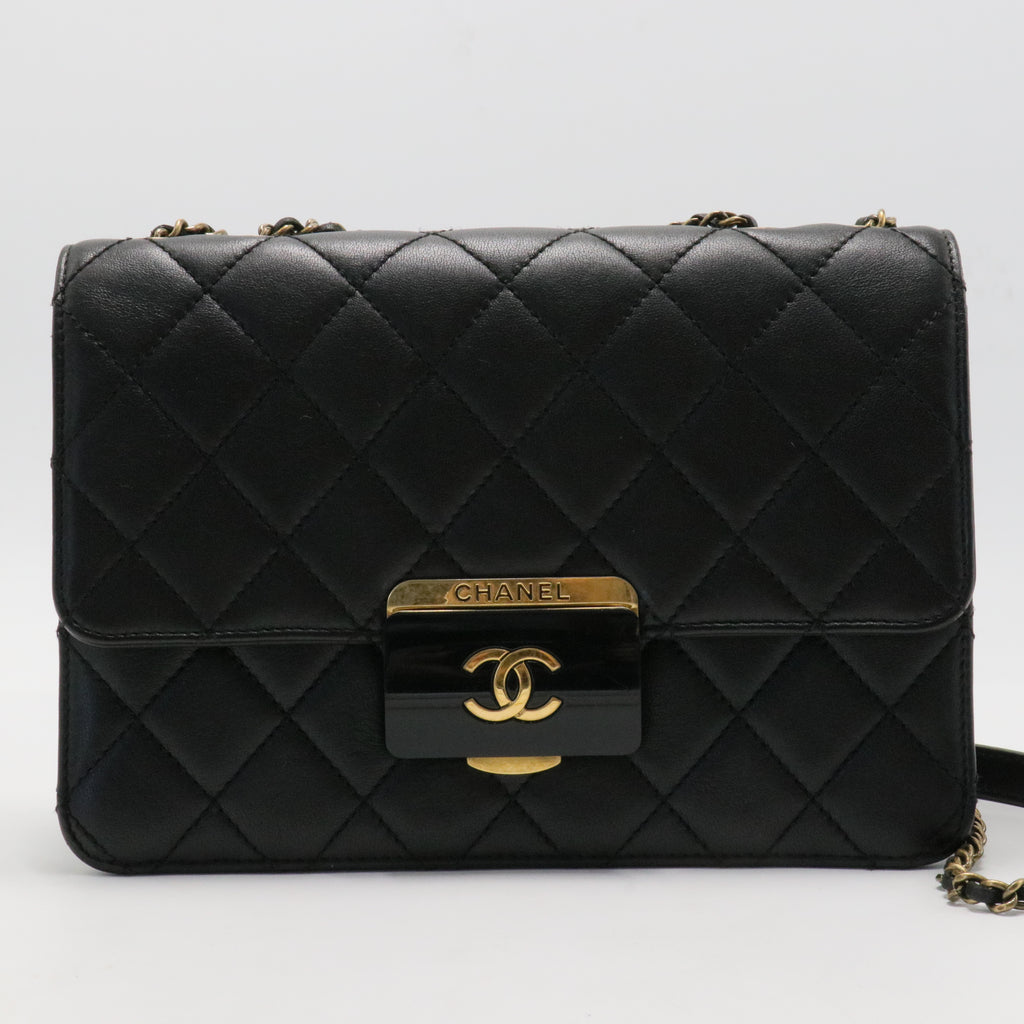 Chanel Coco Shine Flap Bag