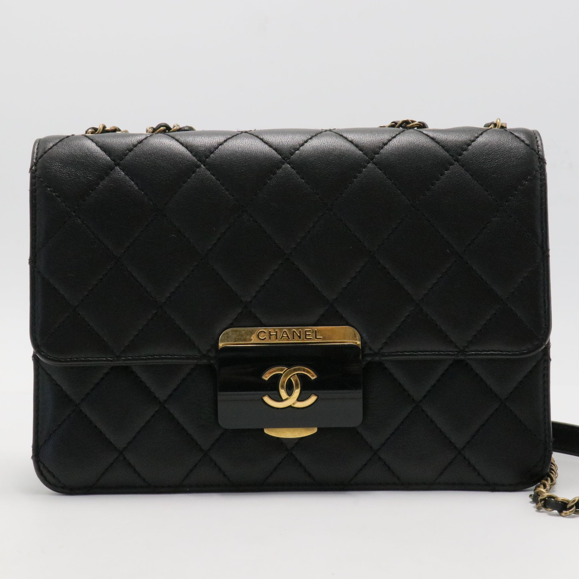 Chanel Coco Shine Flap Bag