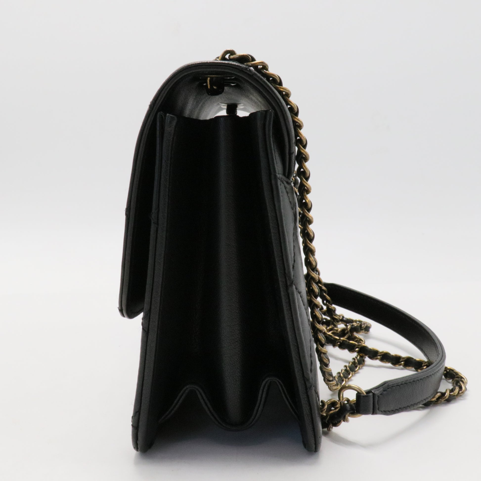 Chanel Coco Shine Flap Bag