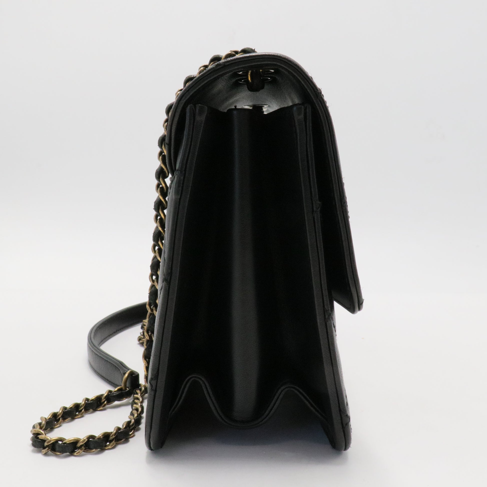 Chanel Coco Shine Flap Bag