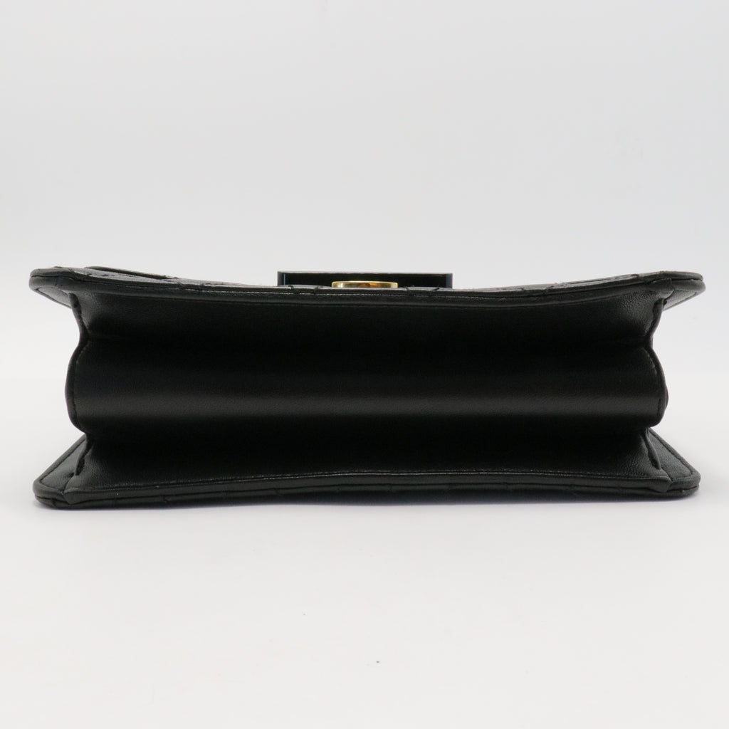 Chanel Coco Shine Flap Bag