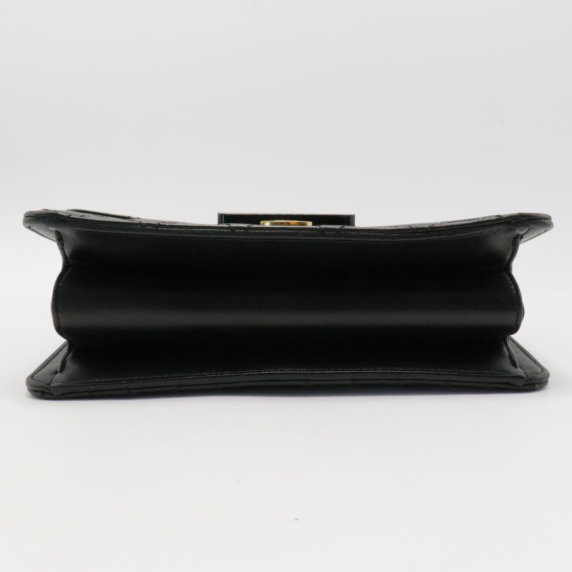 Chanel Coco Shine Flap Bag