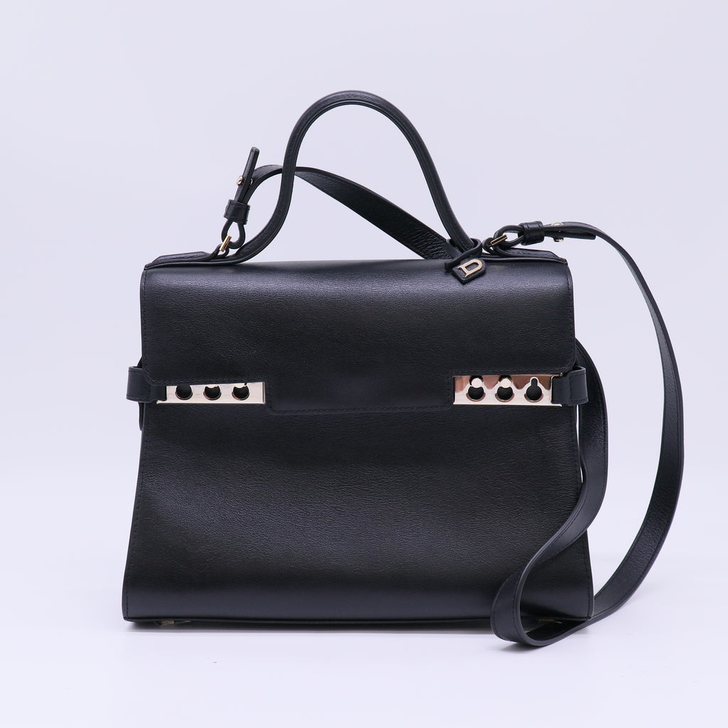 Delvaux Tempête Satchel Bag B22687