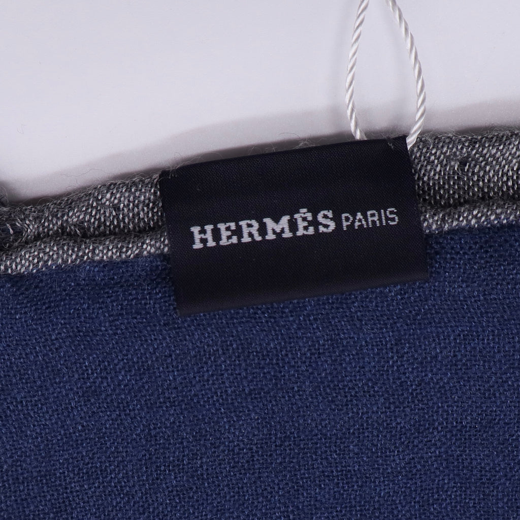 Hermès Silk Scarf Twins J2543
