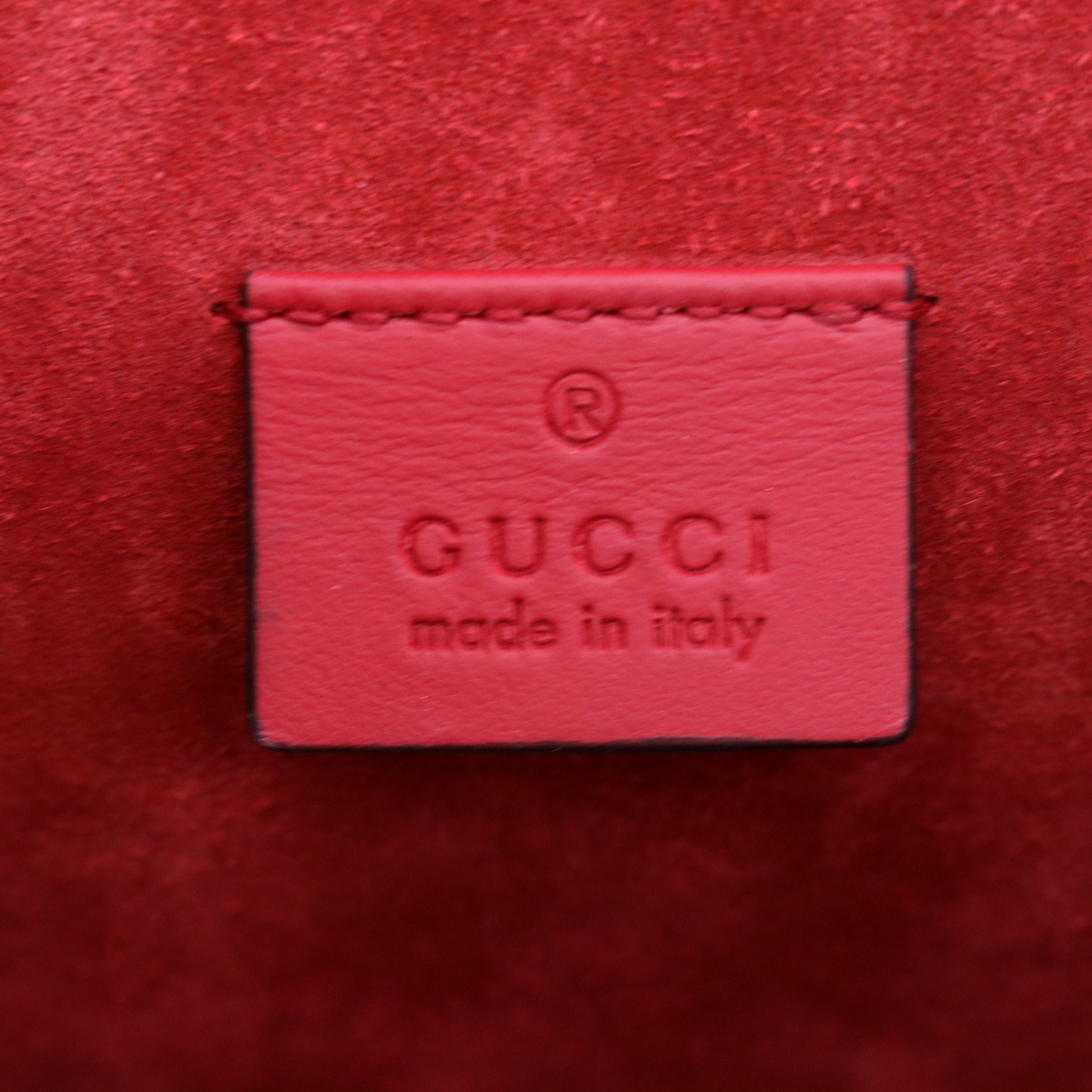 Gucci Dionysus Bag GG Coated Canvas shoulder bag twins LDJ3903