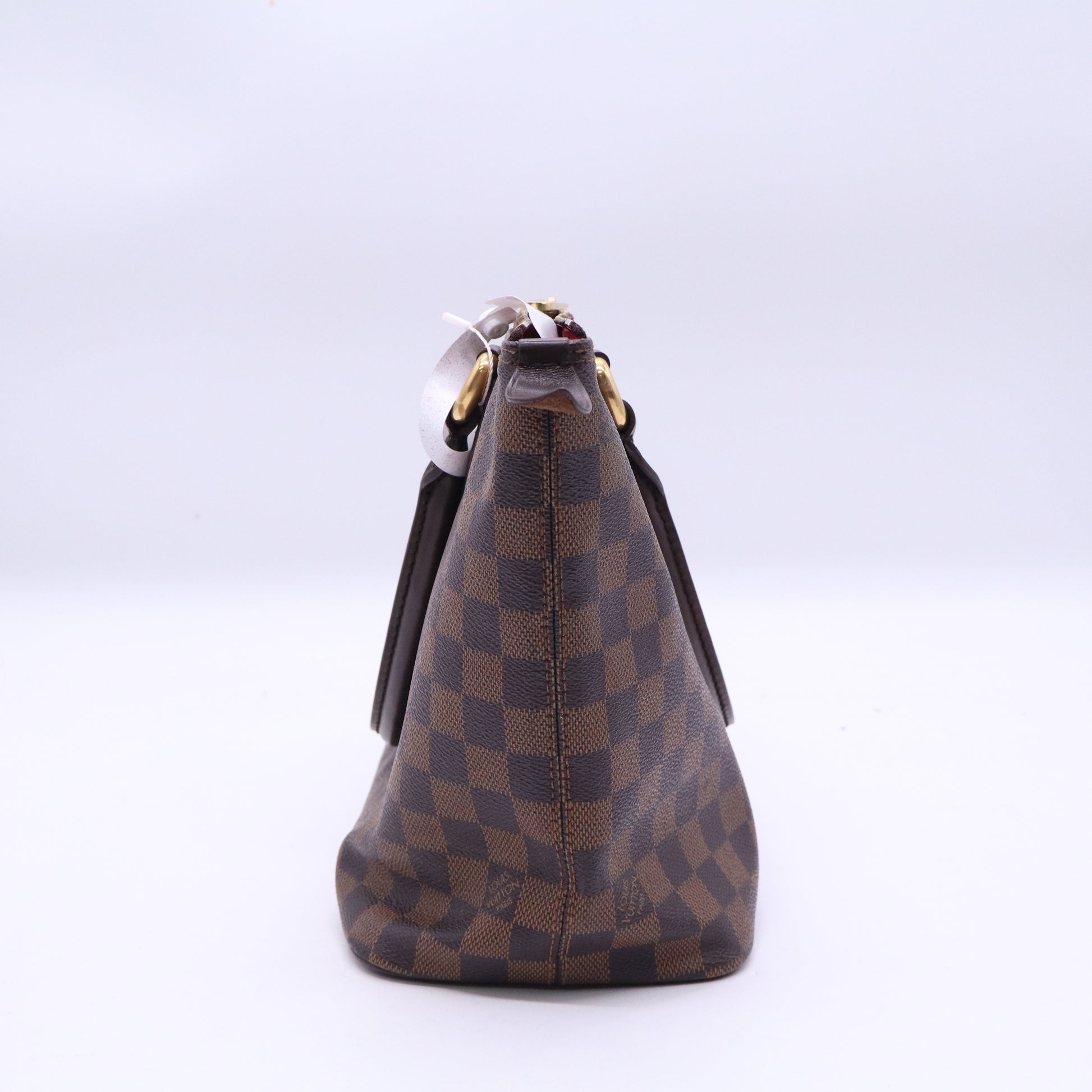 Louis Vuitton Damier Ebene Saleya PM Bag twins B20526