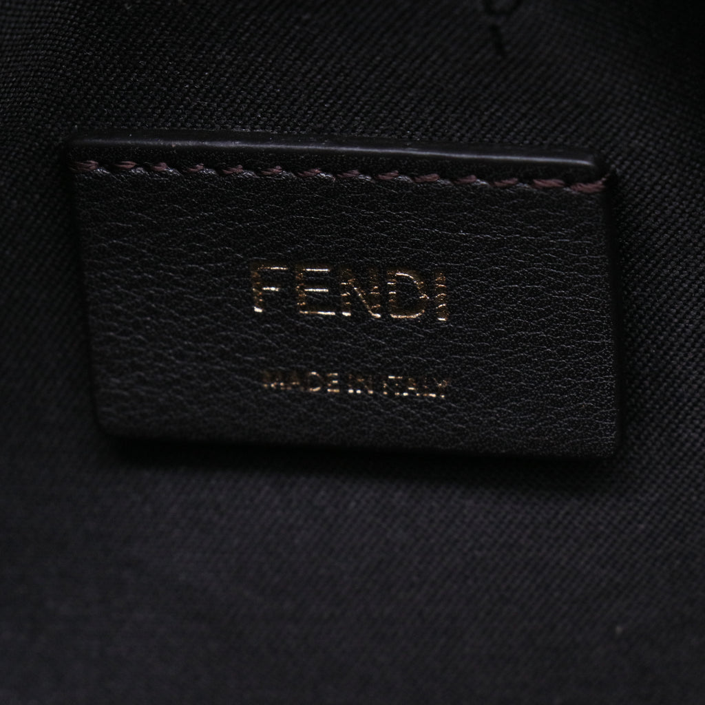 Fendi Zucca Camera Case Bag B21811