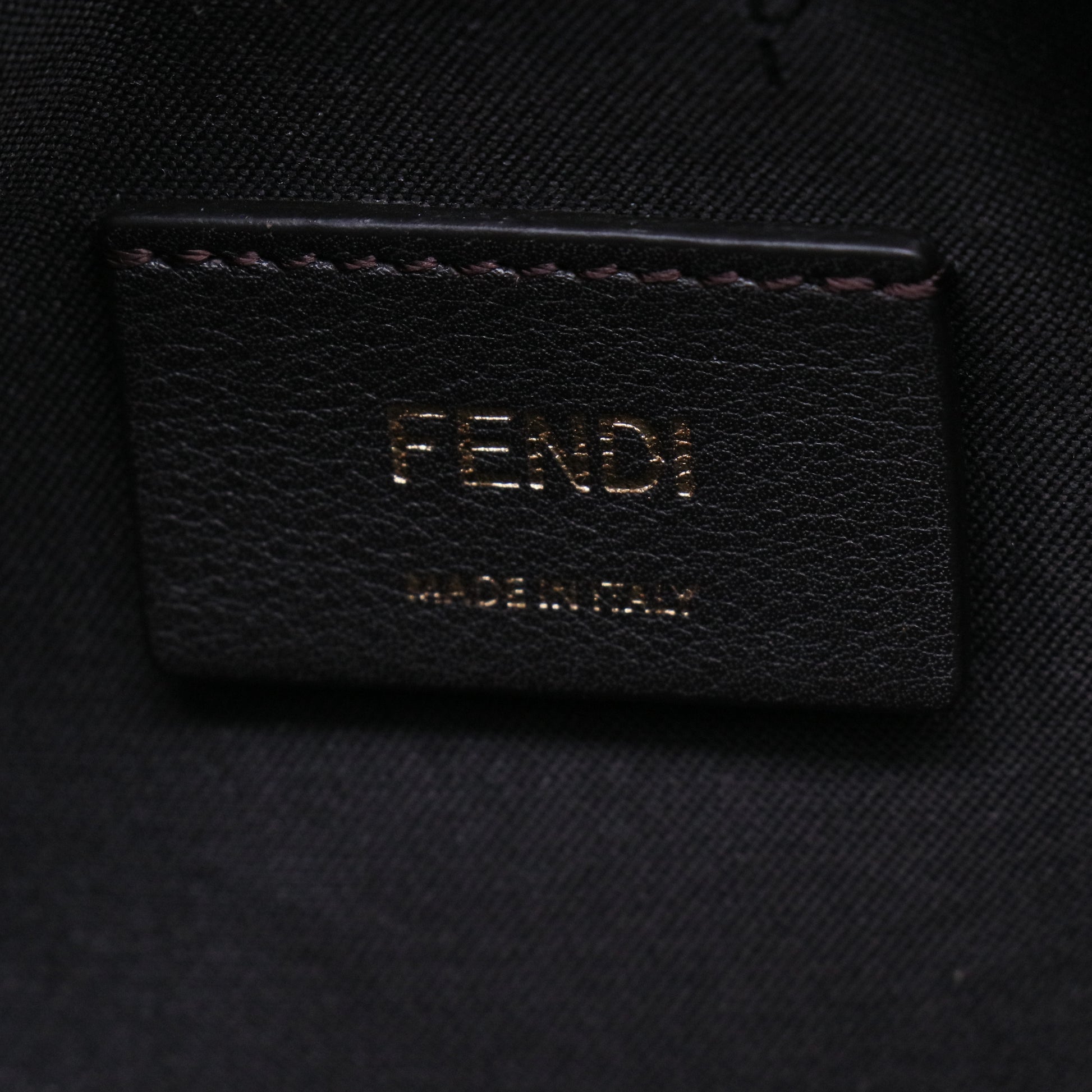 Fendi Zucca Camera Case Bag B21811