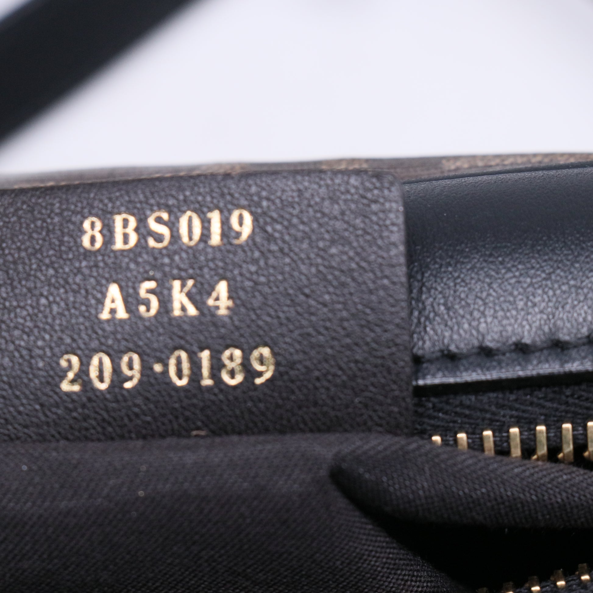 Fendi Zucca Camera Case Bag B21811