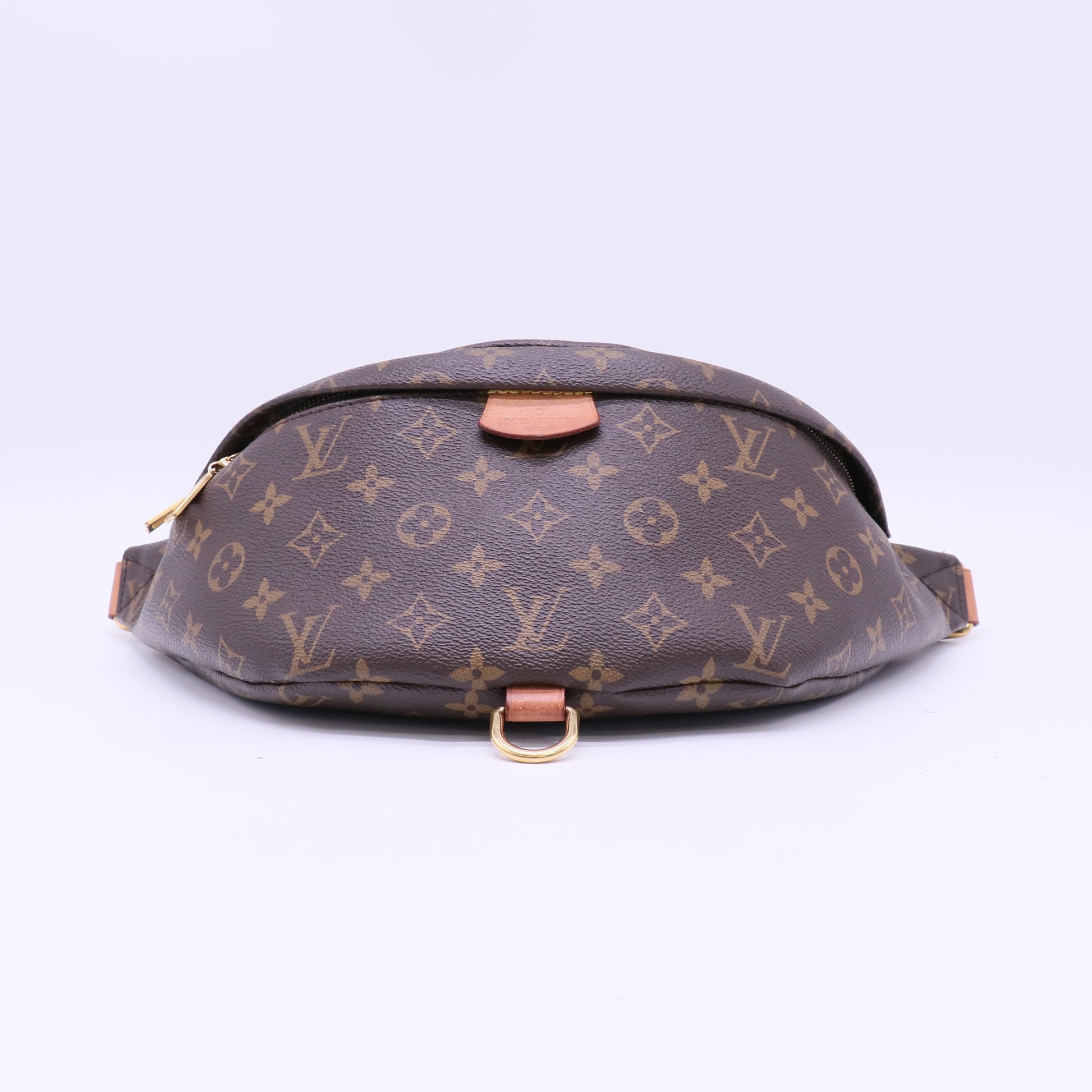 Monogram Bumbag B22782
