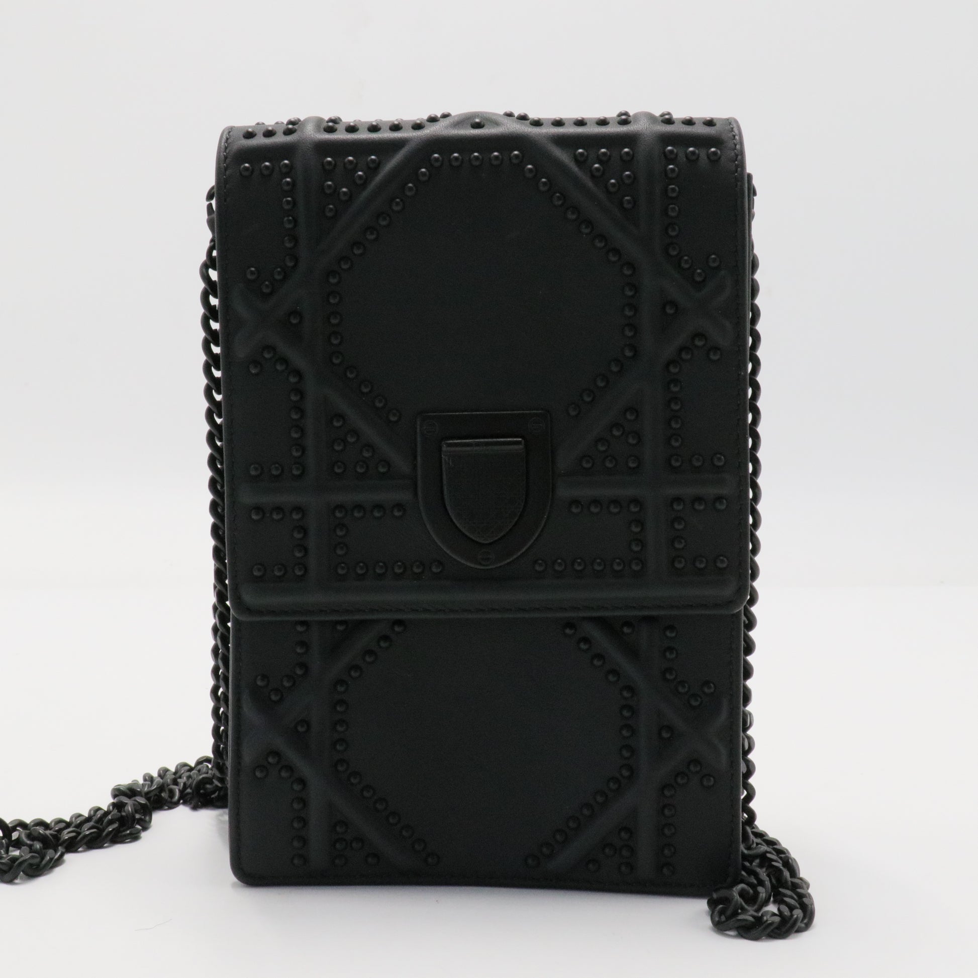 Ultra Matte Calfskin Studded Vertical Diorama