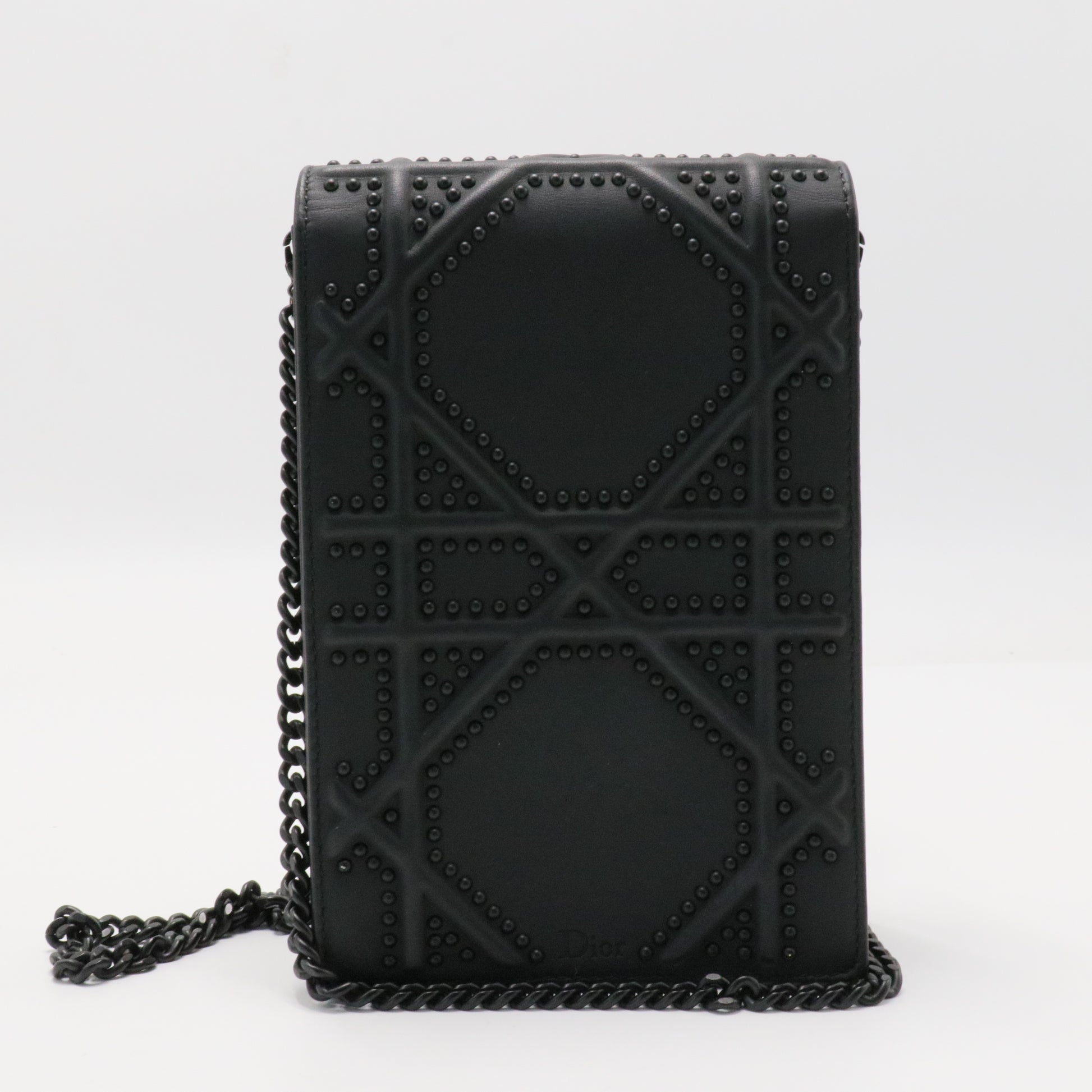 Ultra Matte Calfskin Studded Vertical Diorama
