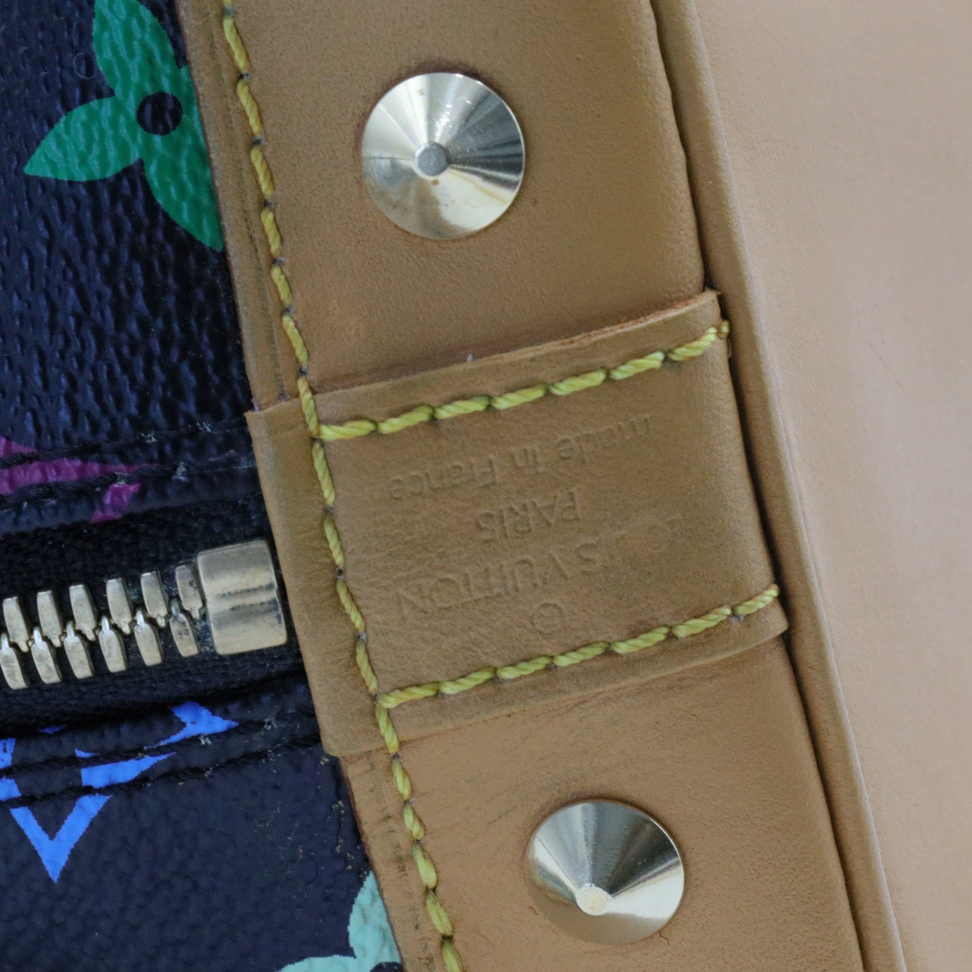 Alma Handbag Monogram Multicolor PM
