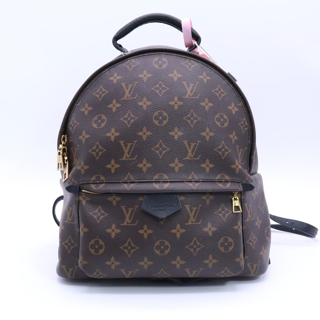 Brown Coated Canvas Monogram Palm Springs Backpack twins