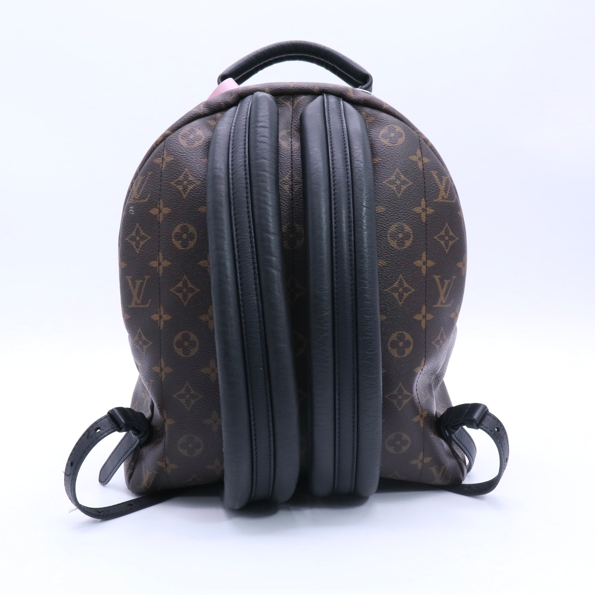 Brown Coated Canvas Monogram Palm Springs Backpack twins