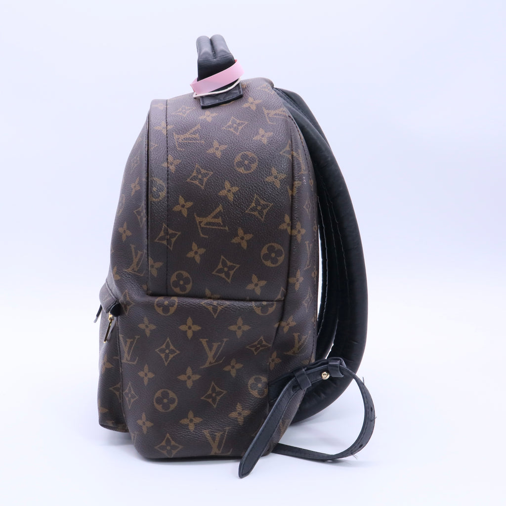 Brown Coated Canvas Monogram Palm Springs Backpack twins