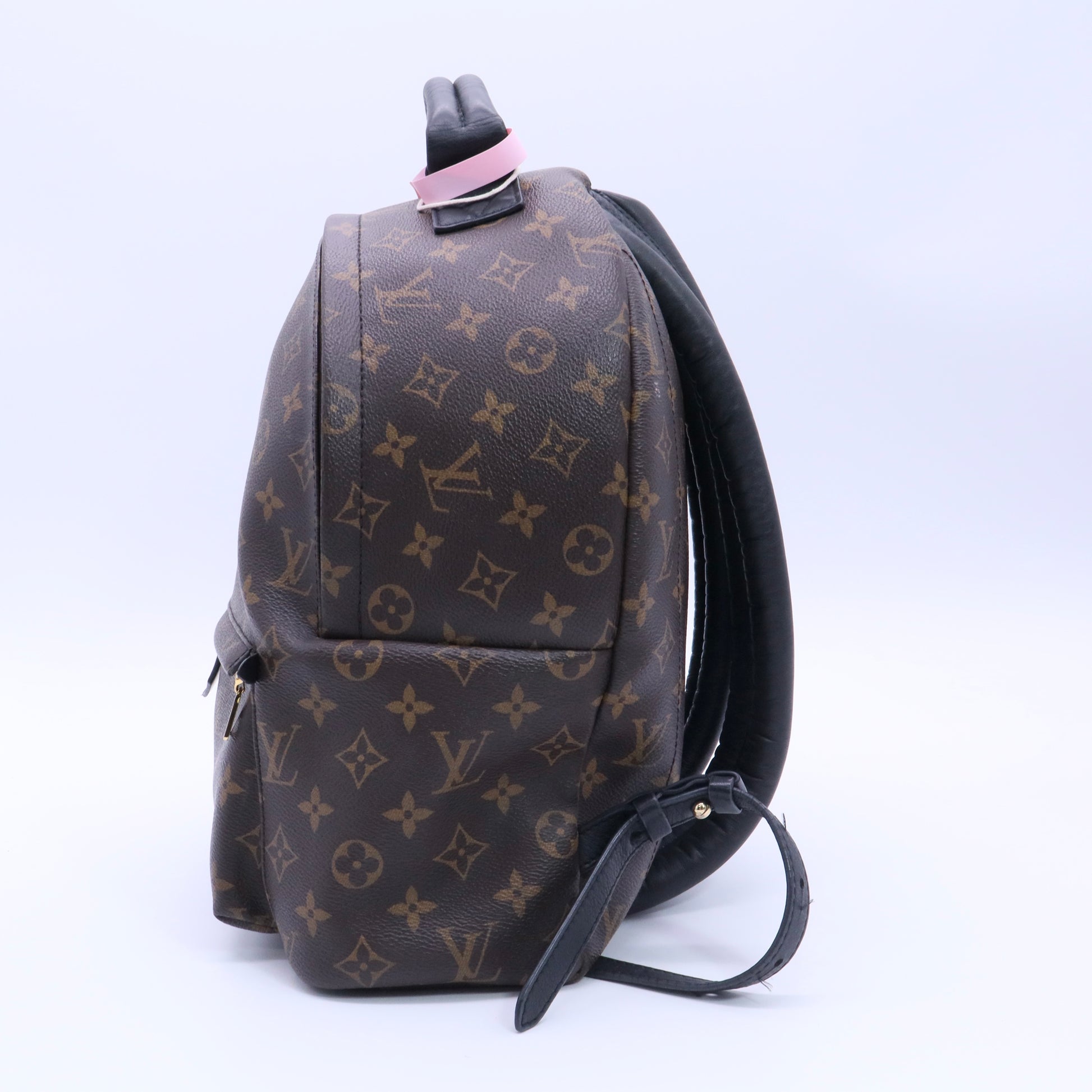 Brown Coated Canvas Monogram Palm Springs Backpack twins