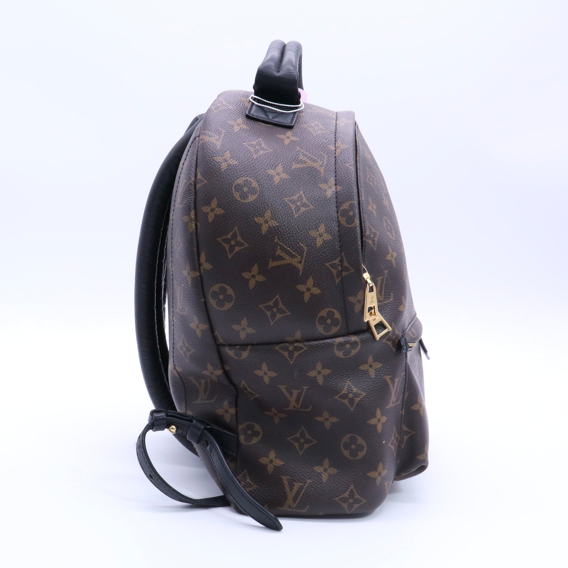 Brown Coated Canvas Monogram Palm Springs Backpack twins