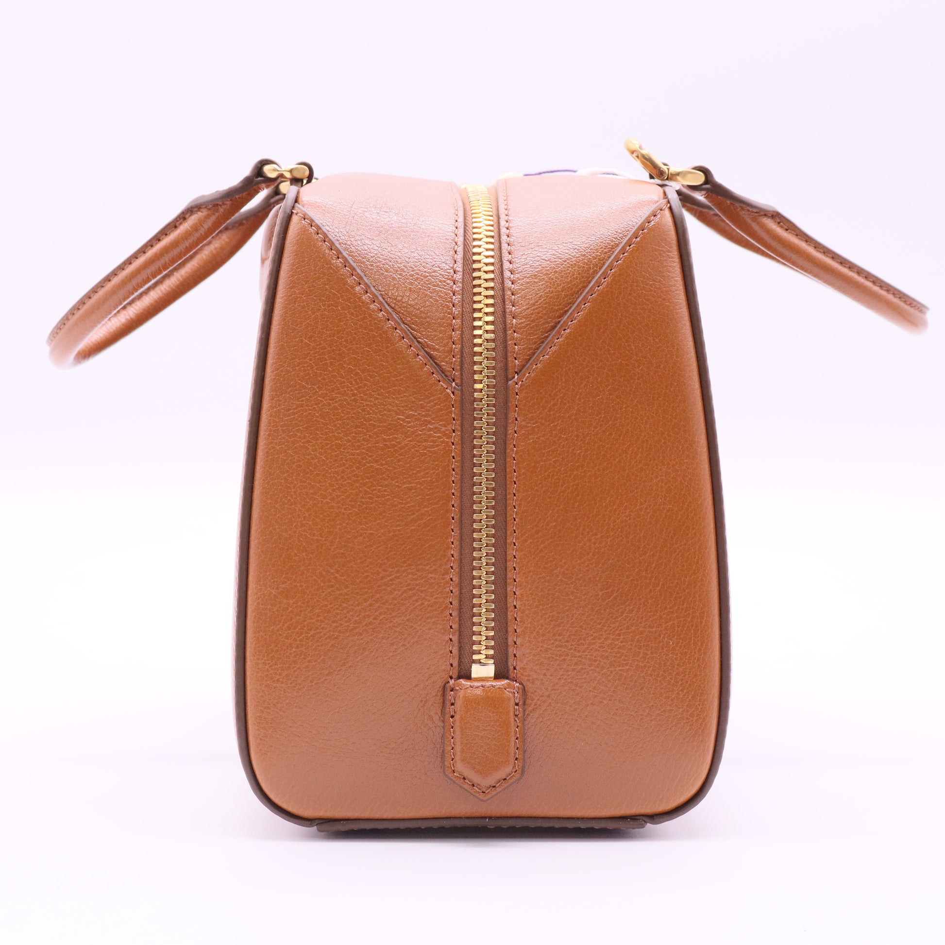 Mini Antigona Cube Bag Twins
