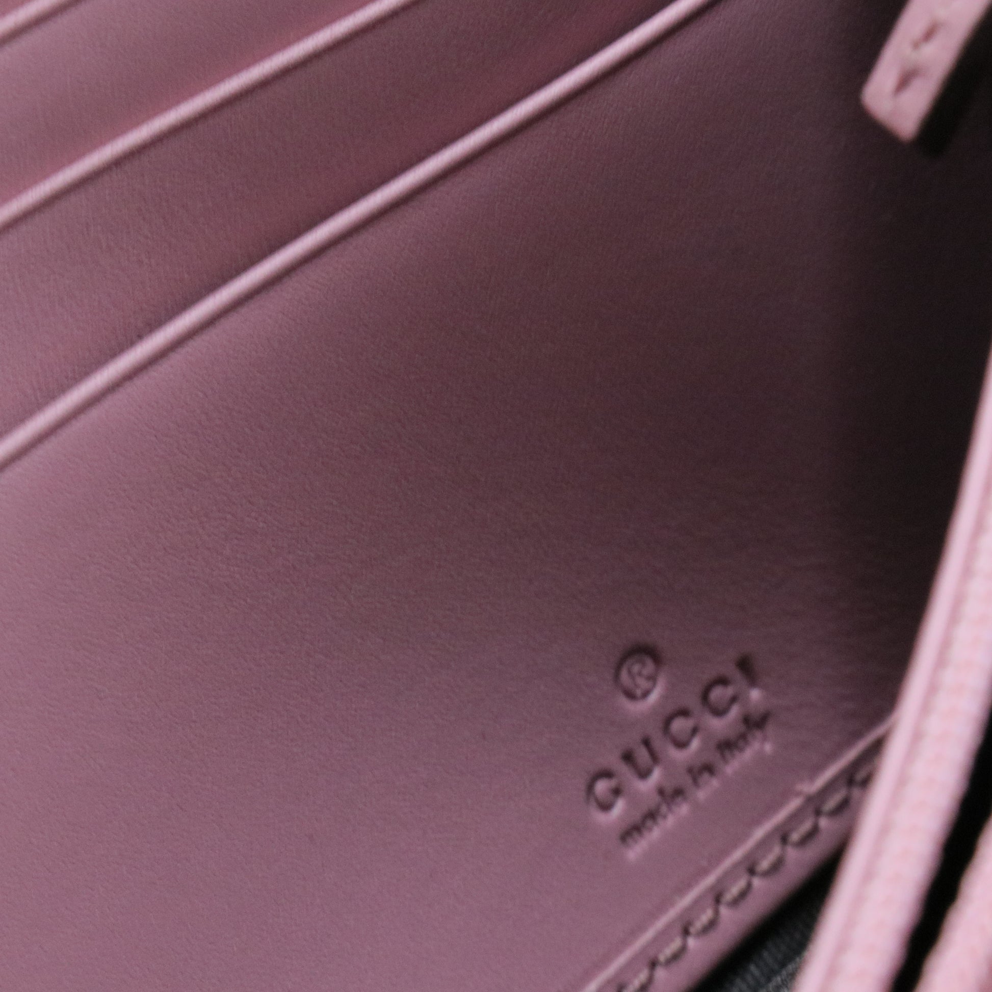 Pearly Coated Canvas with Leather Wallet