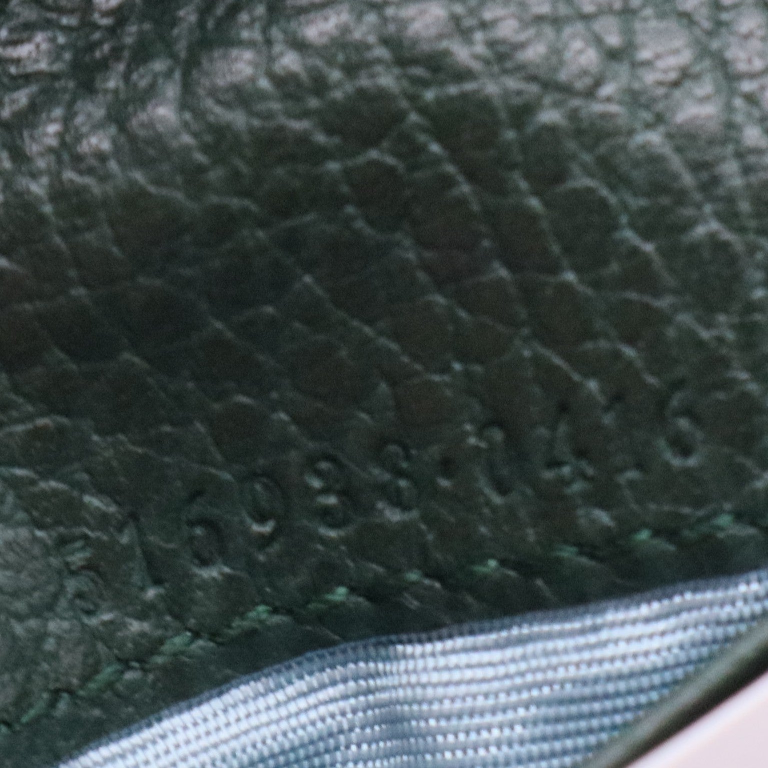 Calfskin Garden Bat Card Case Dark Green