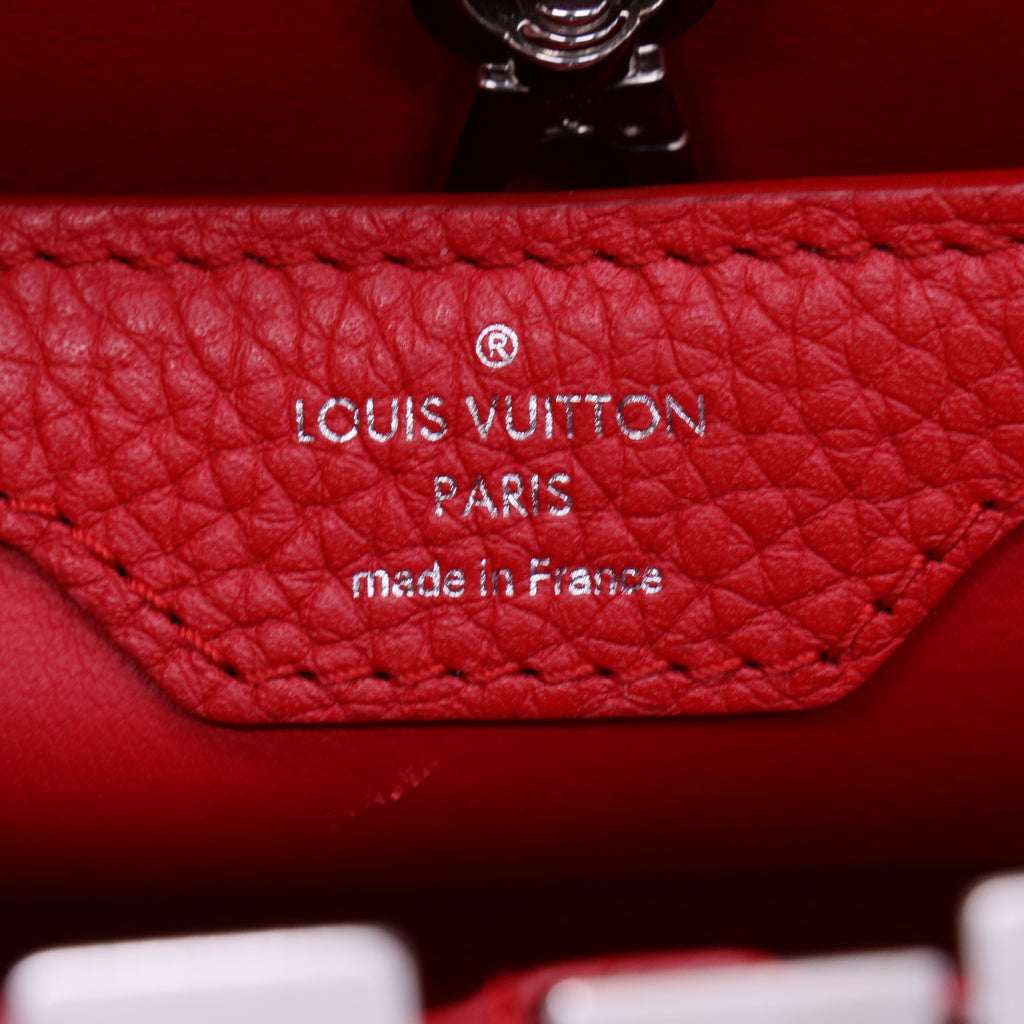 Louis Vuitton Python-Trimmed Taurillon Capucines  twins LDJ3919