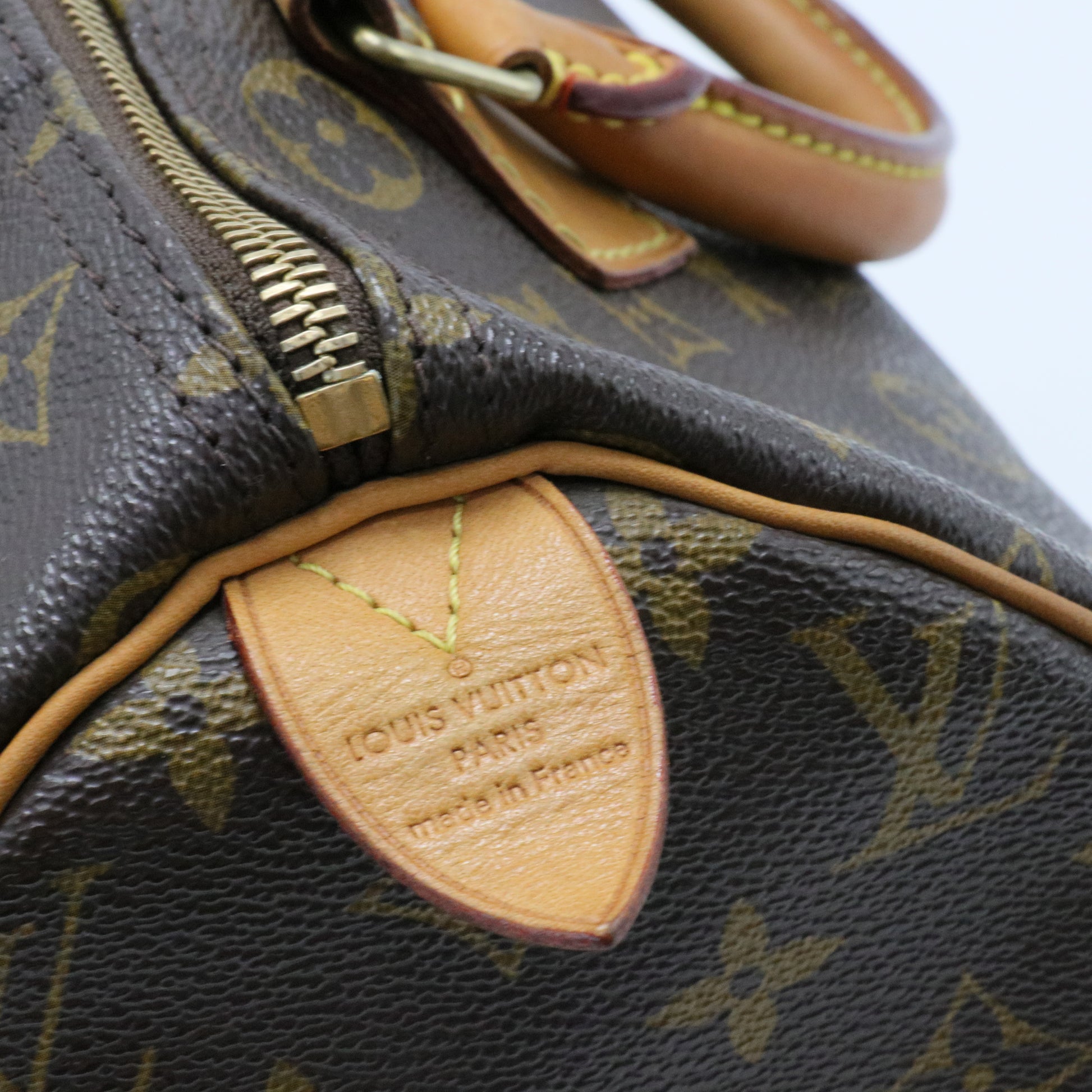 Speedy Handbag Monogram Canvas 30
