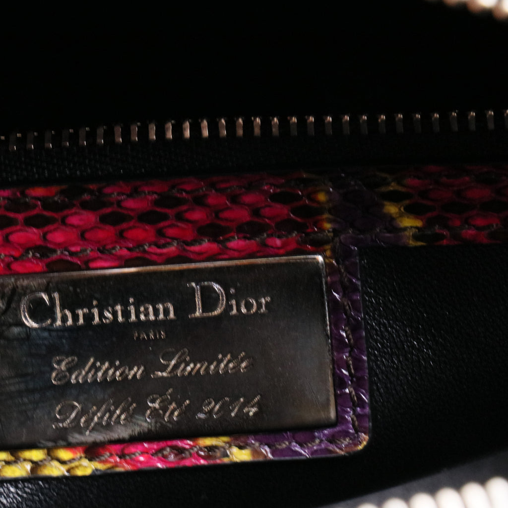Multicolor Python Lady Dior  Handbag Twins