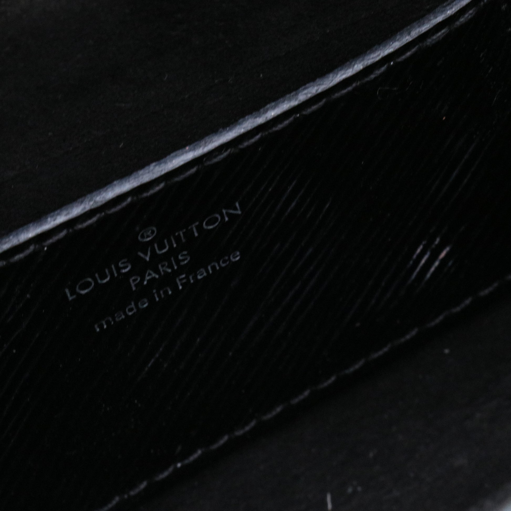 Louis Vuitton Epi Twist twins