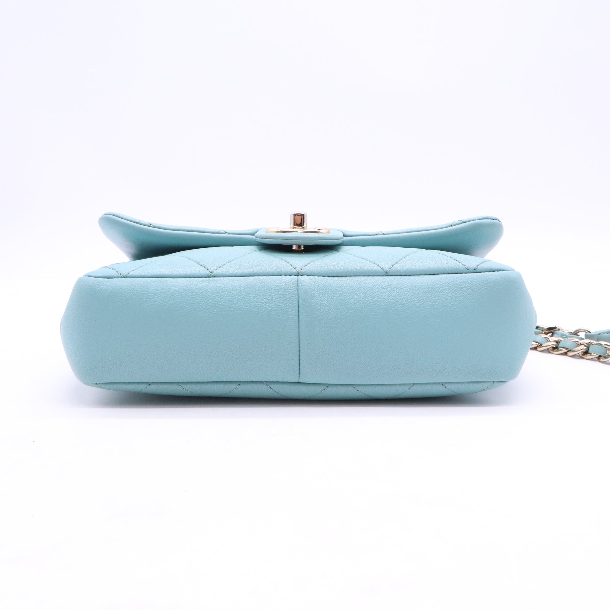 Classic Single Flap Bag Quilted  B21773