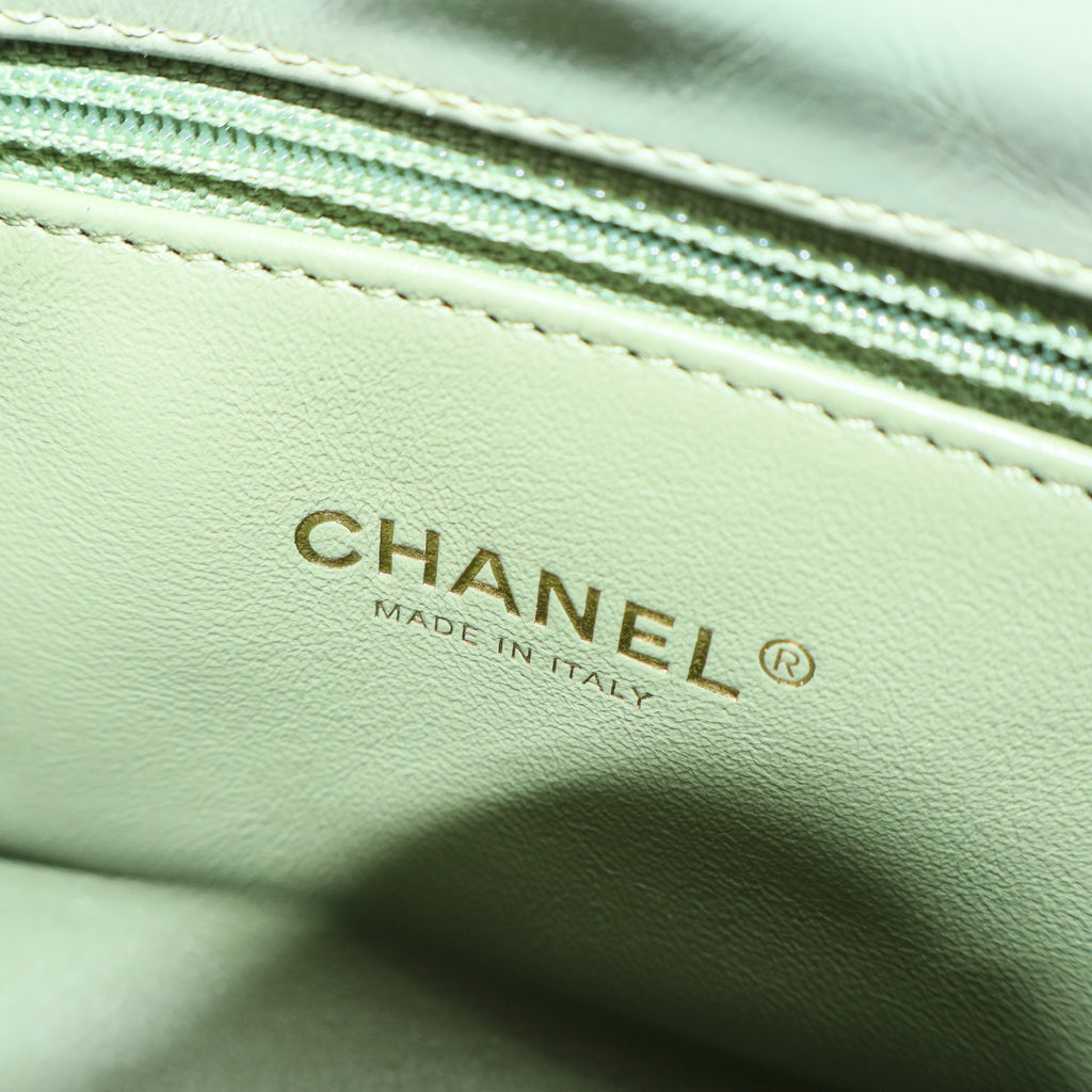 Coco Top Handle Bag Chevron Calfskin (Sage/Celadon Green with Lizard-embossed handle) Small Twins