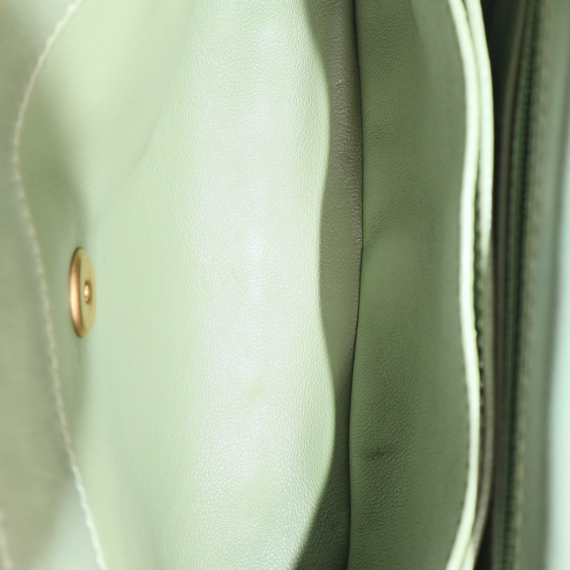 Coco Top Handle Bag Chevron Calfskin (Sage/Celadon Green with Lizard-embossed handle) Small Twins