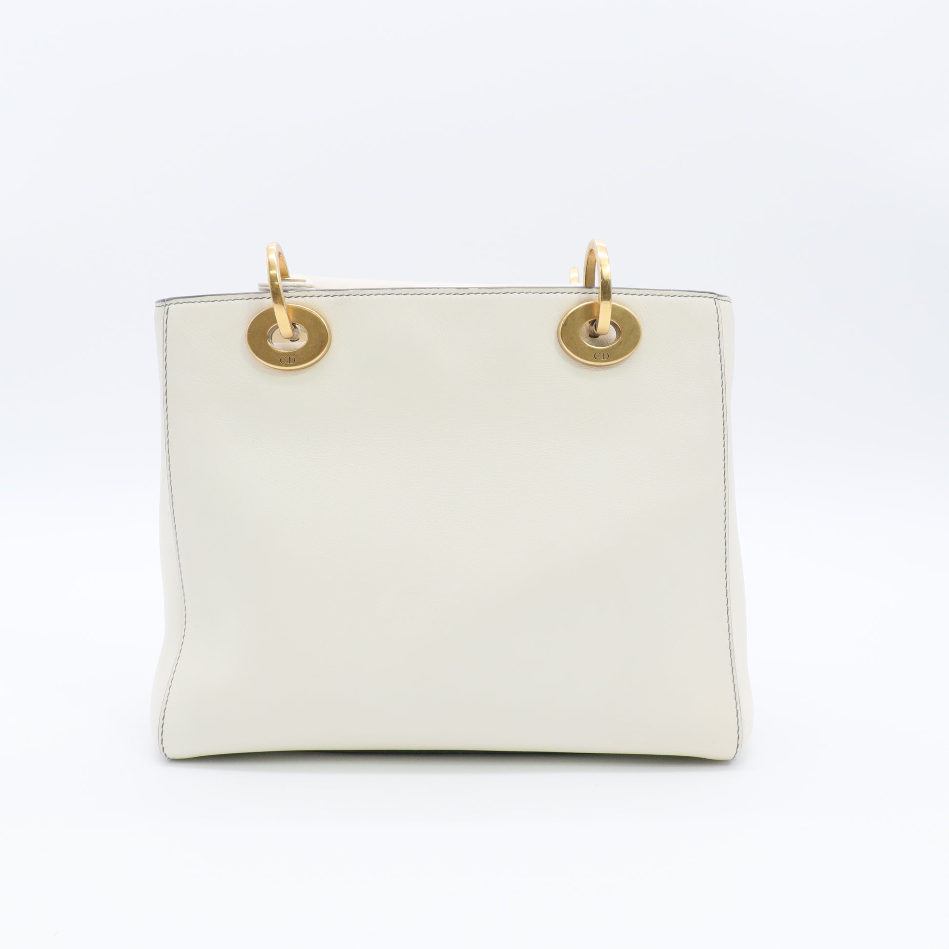 Medium Wheel of Fortune Tarot Lady Dior Bag twins