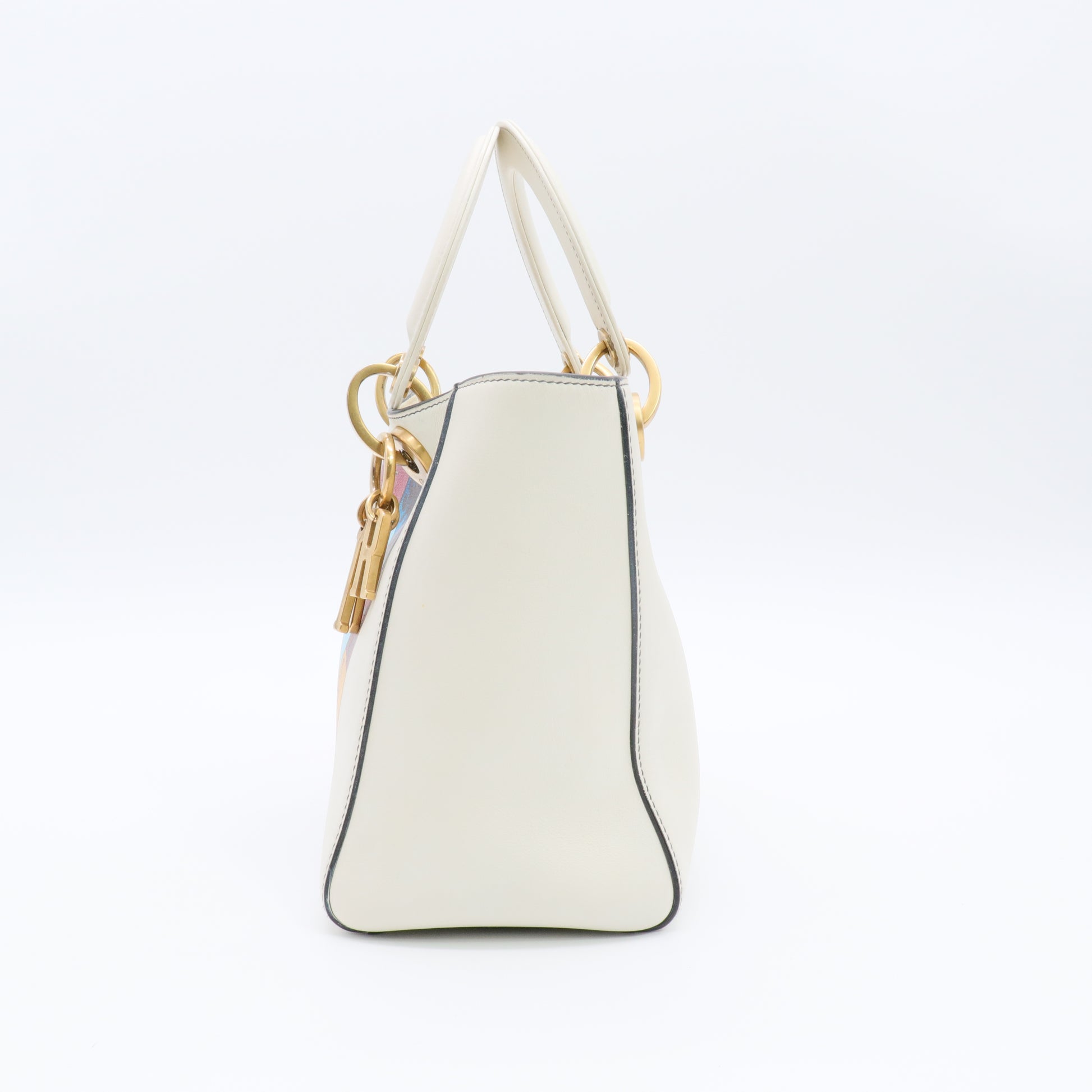 Medium Wheel of Fortune Tarot Lady Dior Bag twins