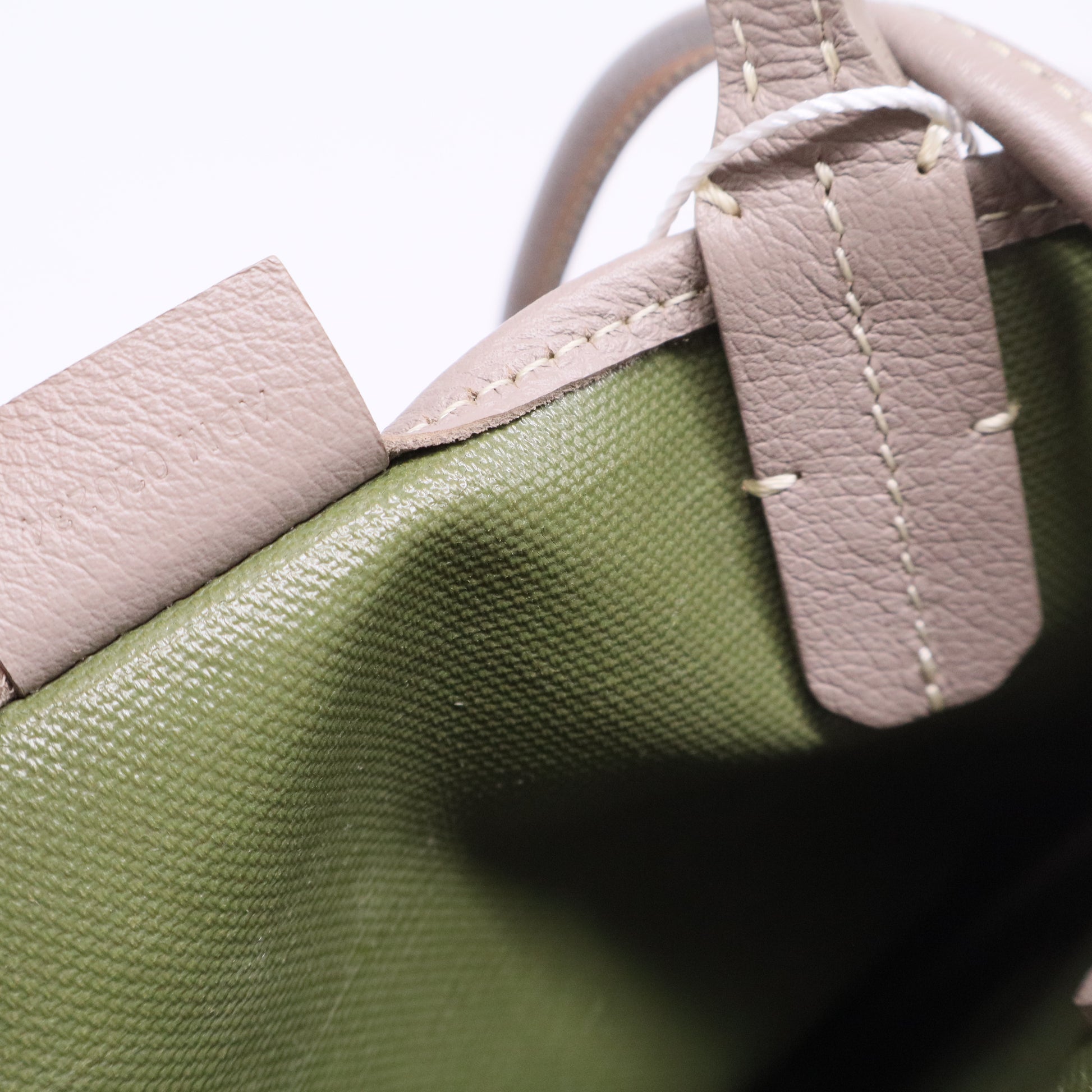 Goyardine Poitiers Claire Voie Bag Twins LDJ3398