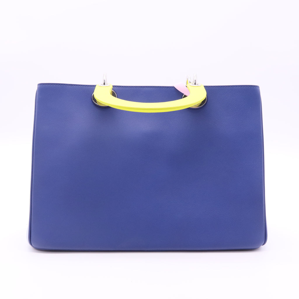 Special Edition Leather Diorissimo Large Twins