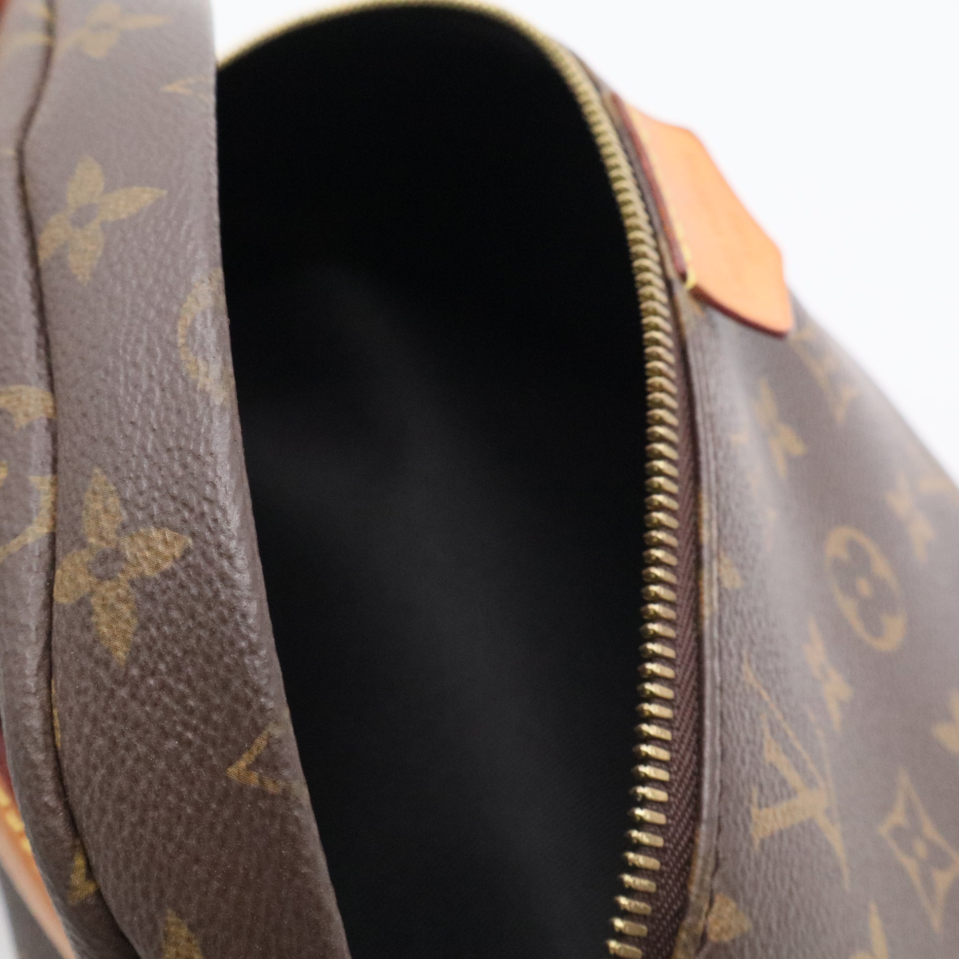 Bum Bag Monogram Canvas