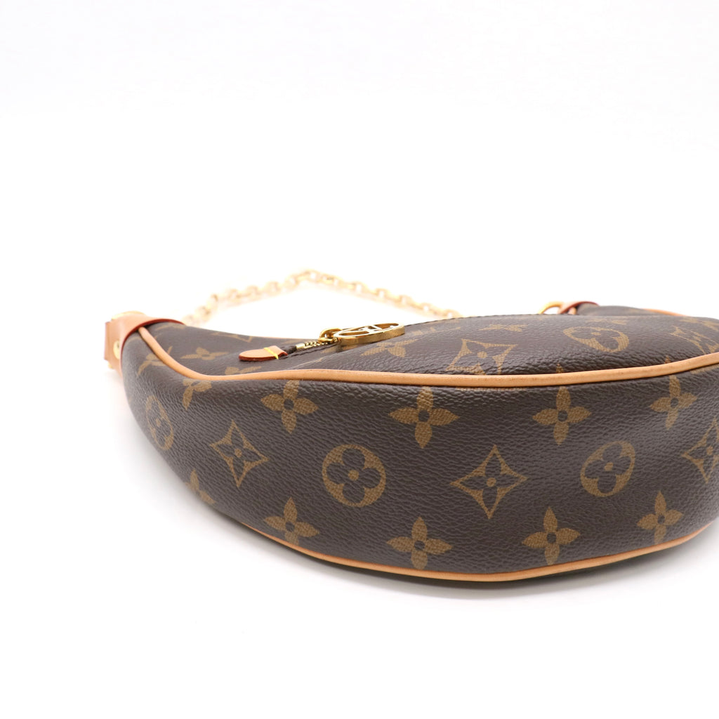Louis Vuitton Monogram Canvas Loop Bag twins LDZ202