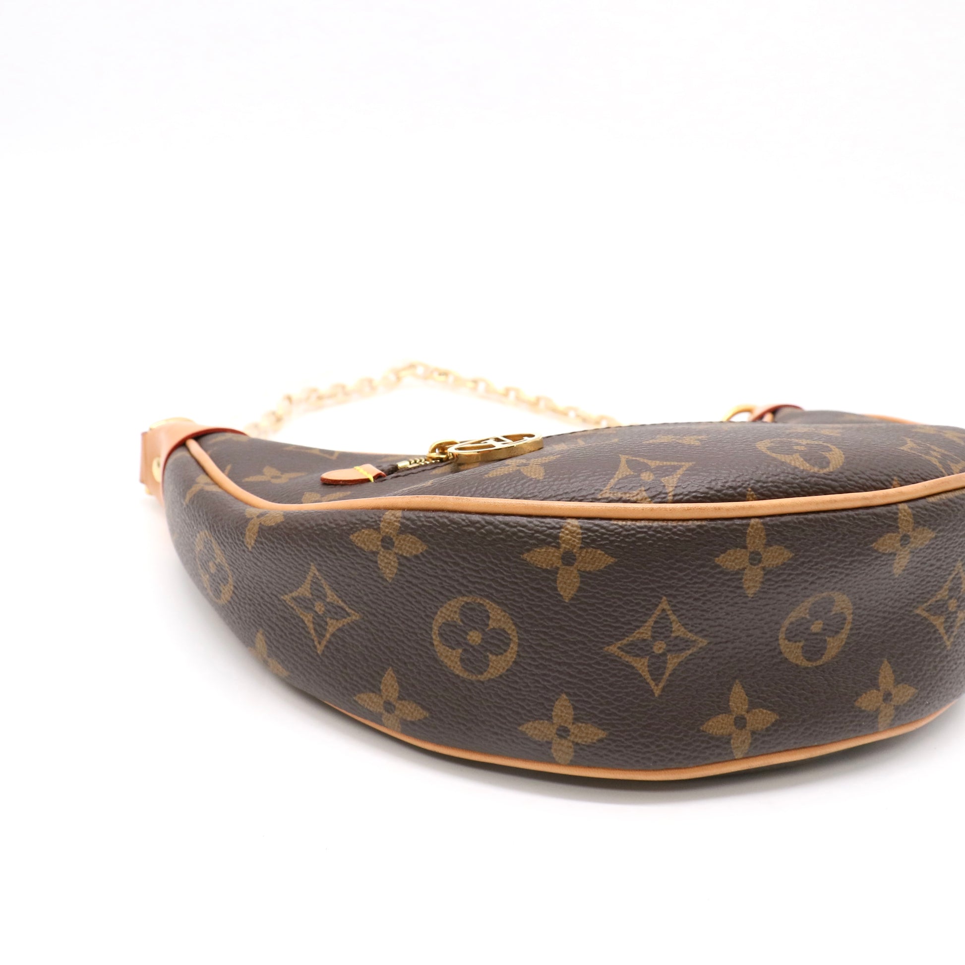 Louis Vuitton Monogram Canvas Loop Bag twins LDZ202