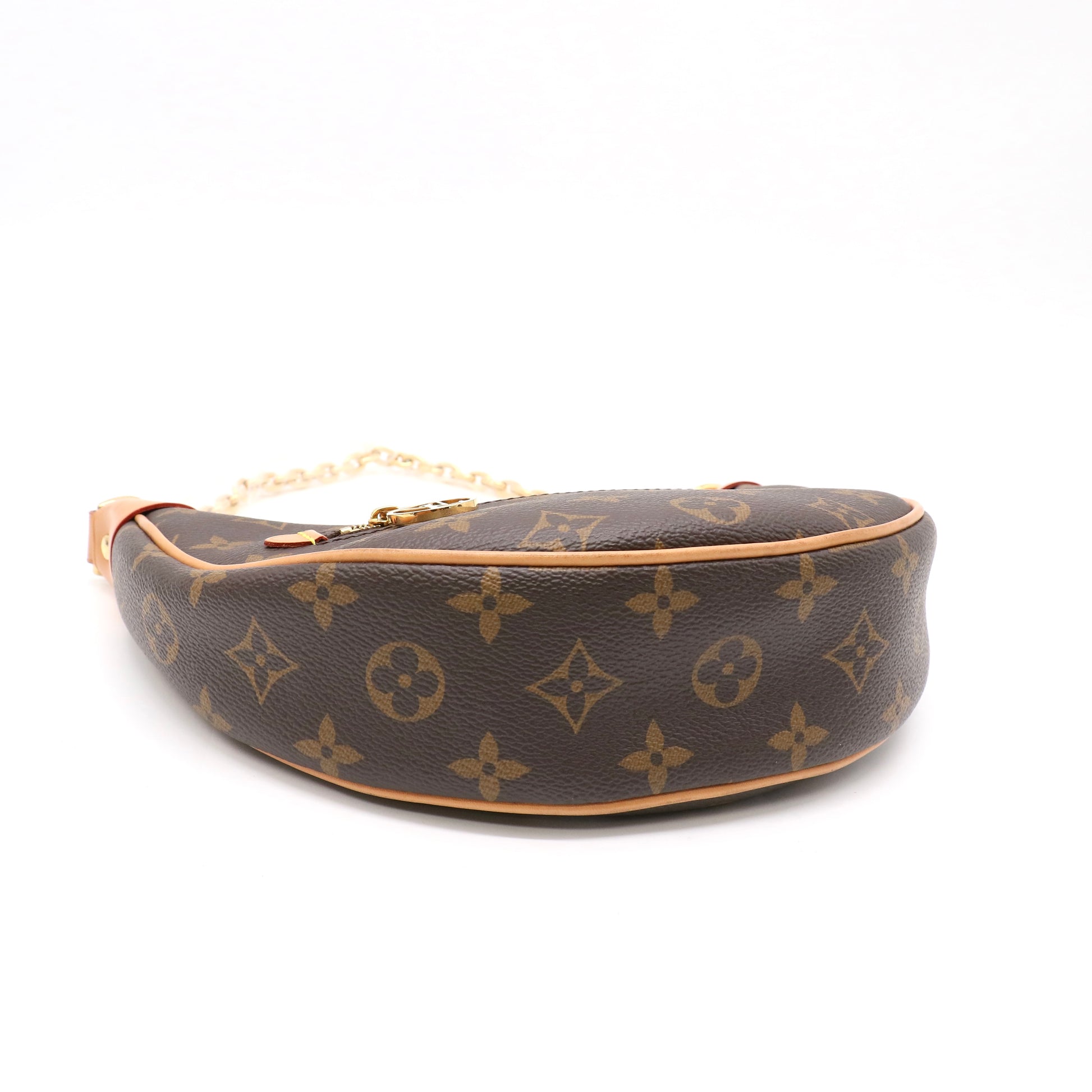 Louis Vuitton Monogram Canvas Loop Bag twins LDZ202