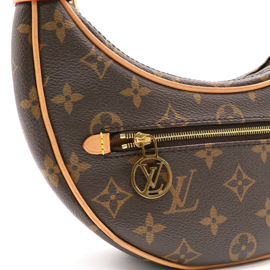 Louis Vuitton Monogram Canvas Loop Bag twins LDZ202