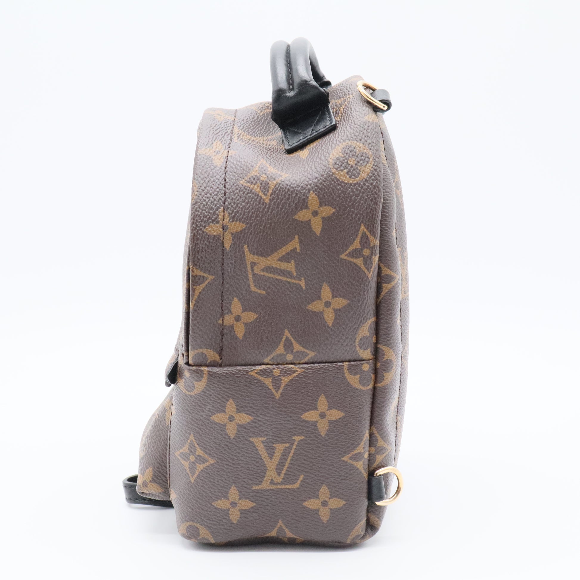 Palm Springs Backpack Monogram Canvas Mini