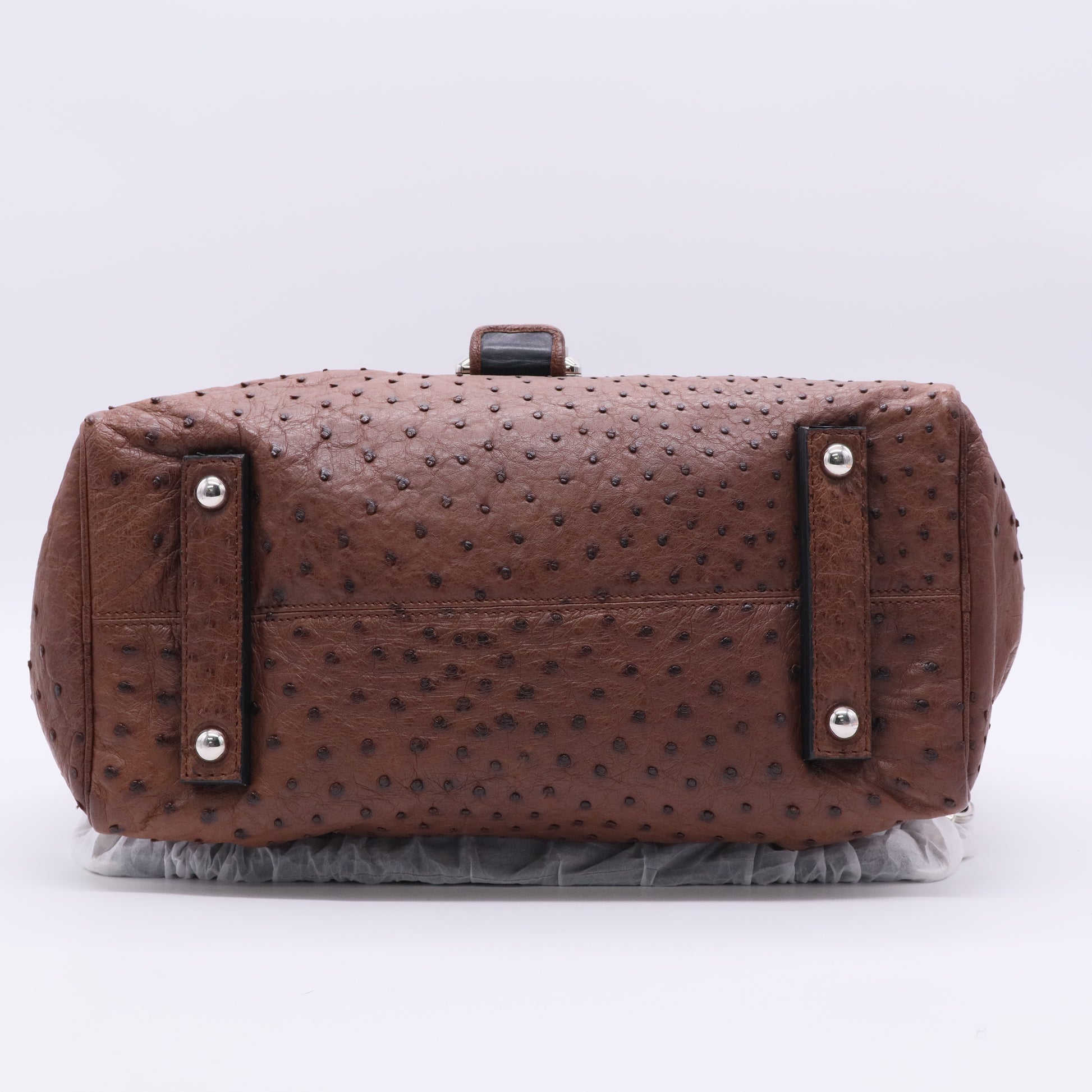 Loewe Limited Edition Ostrich Top Handle Bag twins LDJ3407