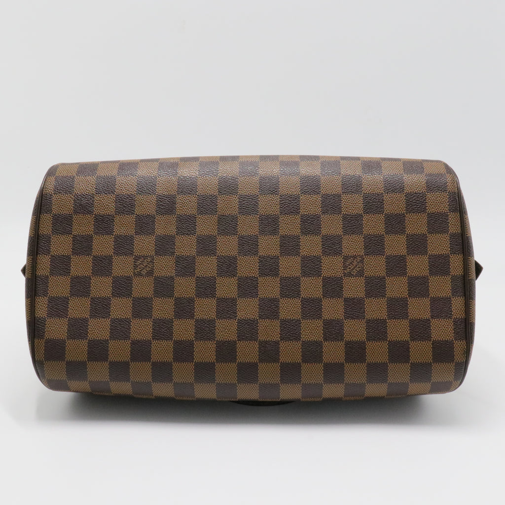 Ribera Handbag Damier MM
