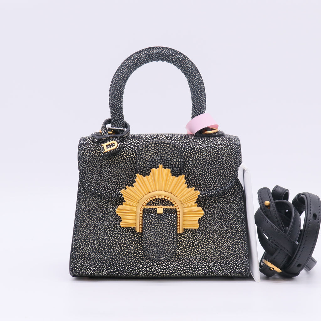 Delvaux Golden Glory Brillant Bag twins LDJ5308