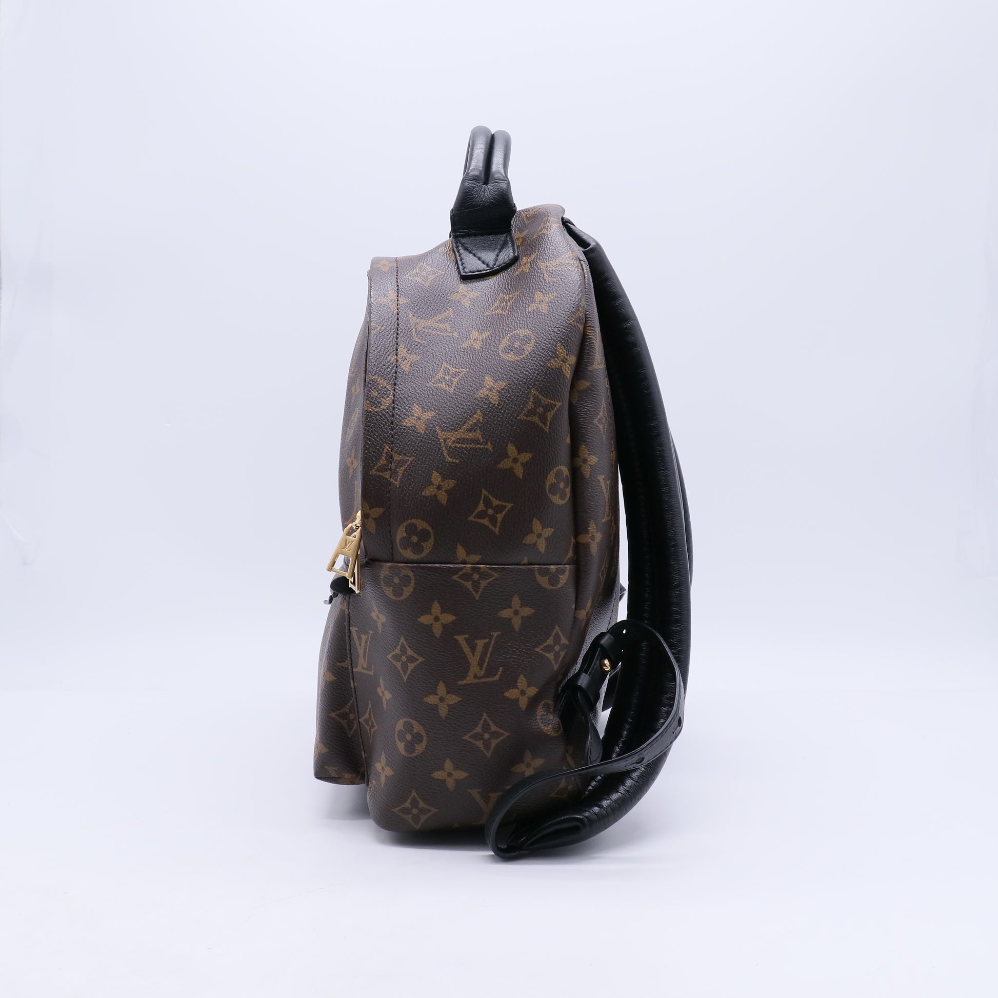 Louis Vuitton Monogram Palm Springs MM Backpack B21384