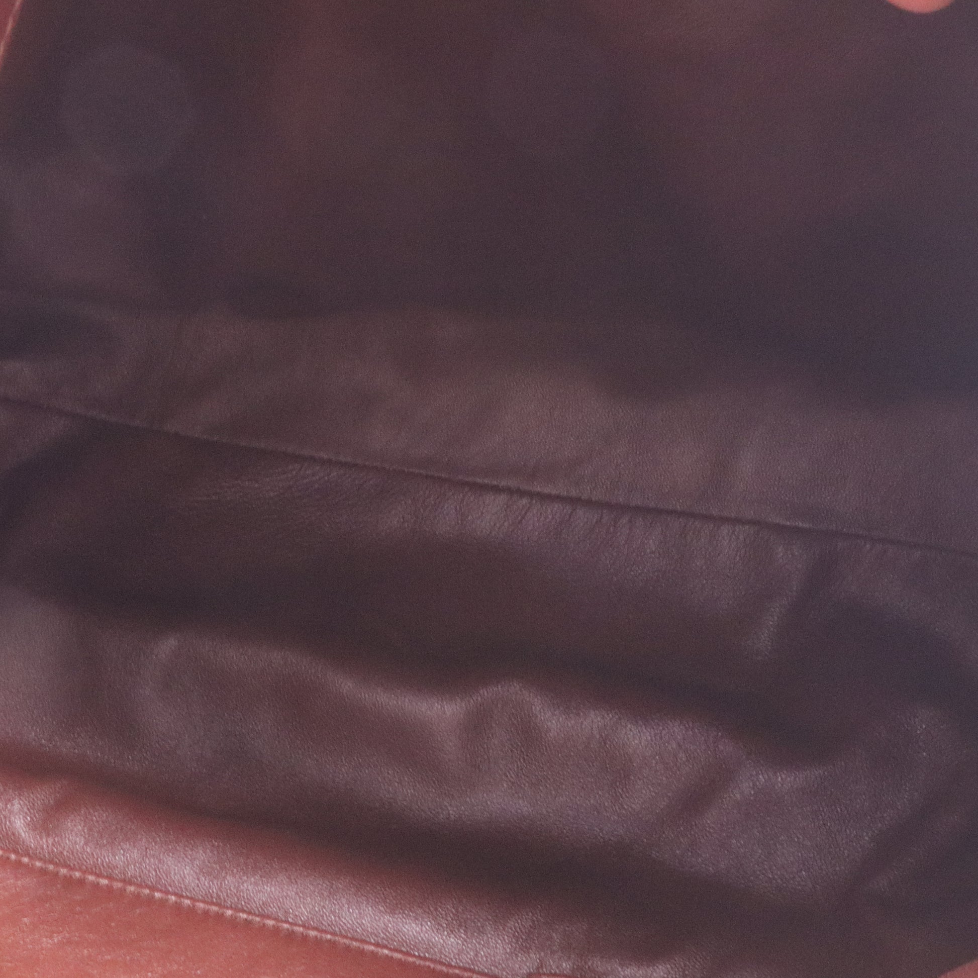 Christian Dior Lambskin Medium Libertine Hobo Brown Twins LDJ3951