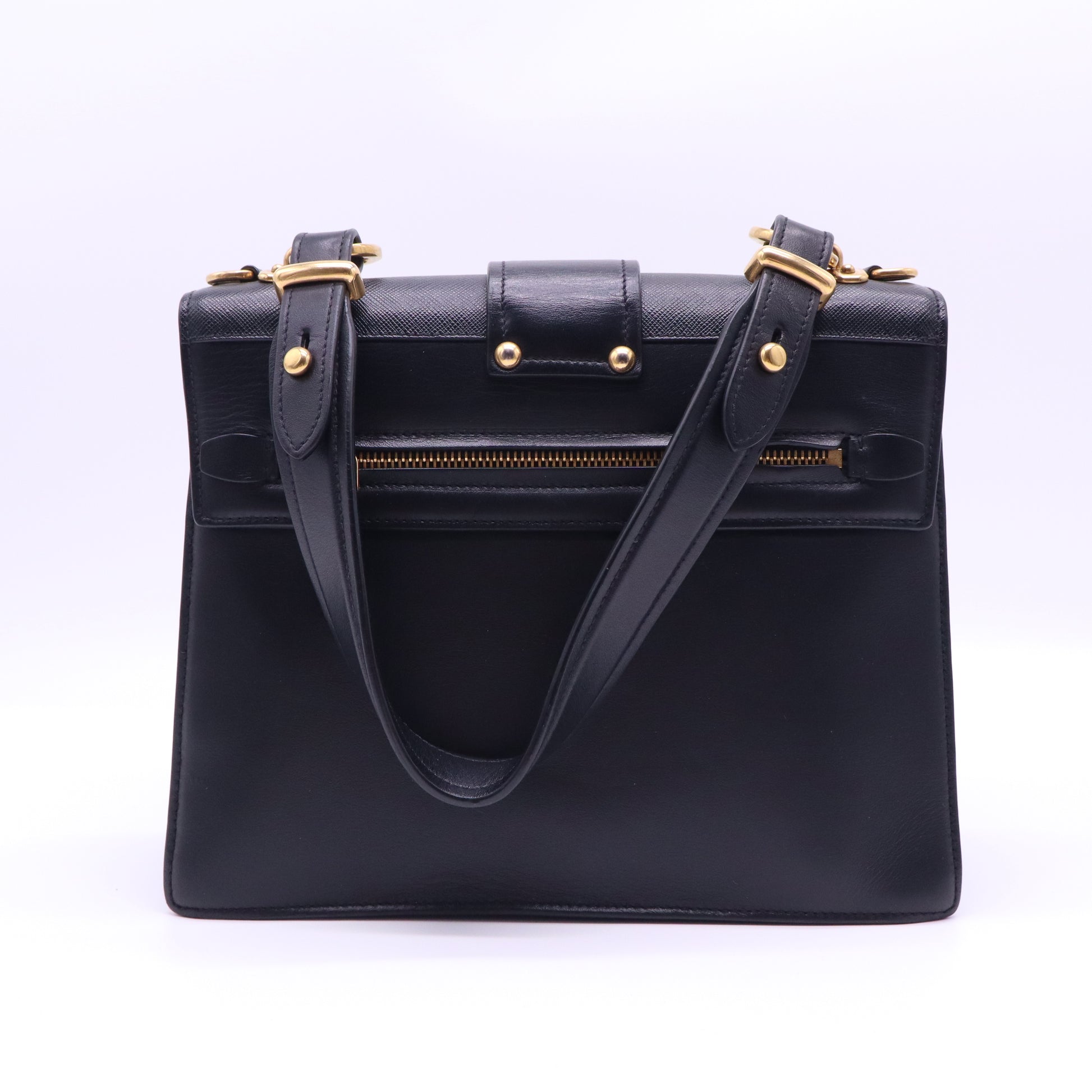 Cahier Convertible Shoulder Bag City Calf and Saffiano Medium Twins B20841