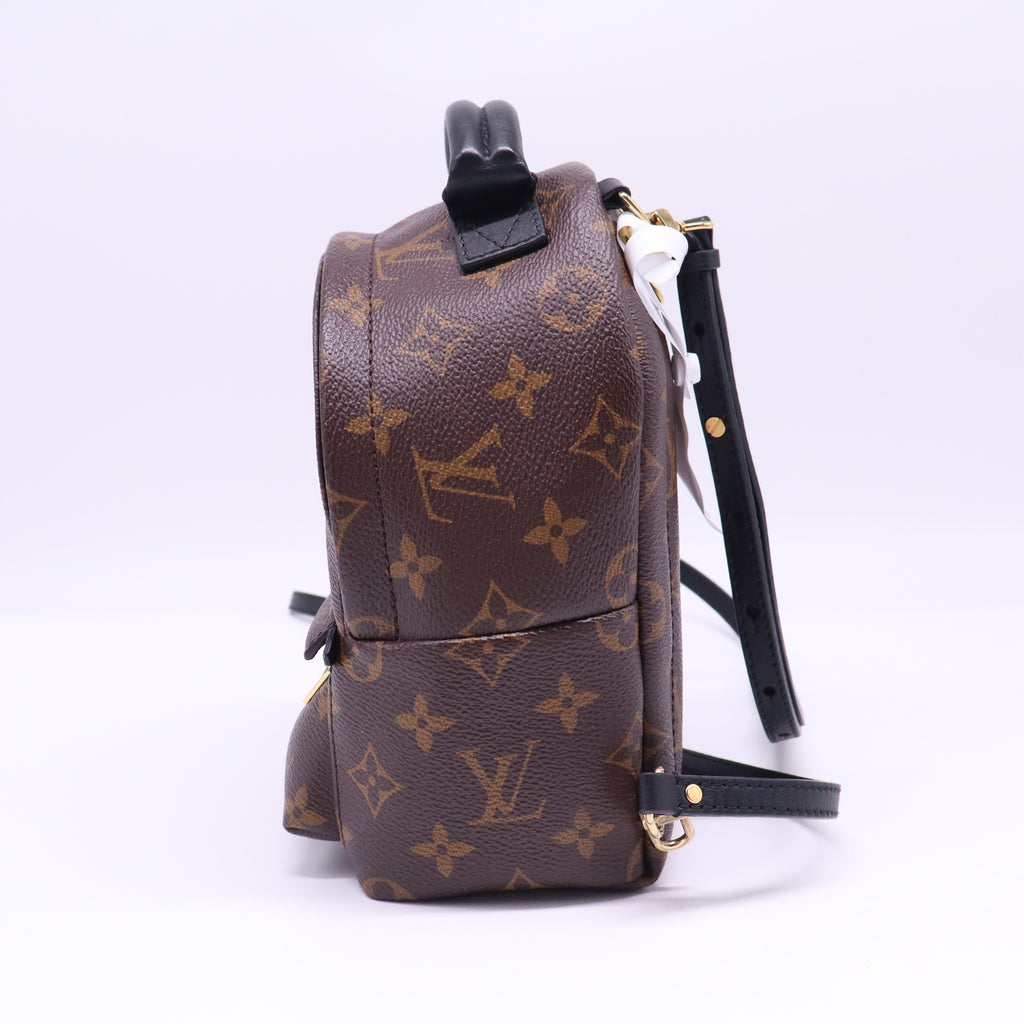 Palm Springs Backpack Monogram Canvas Mini  B21817